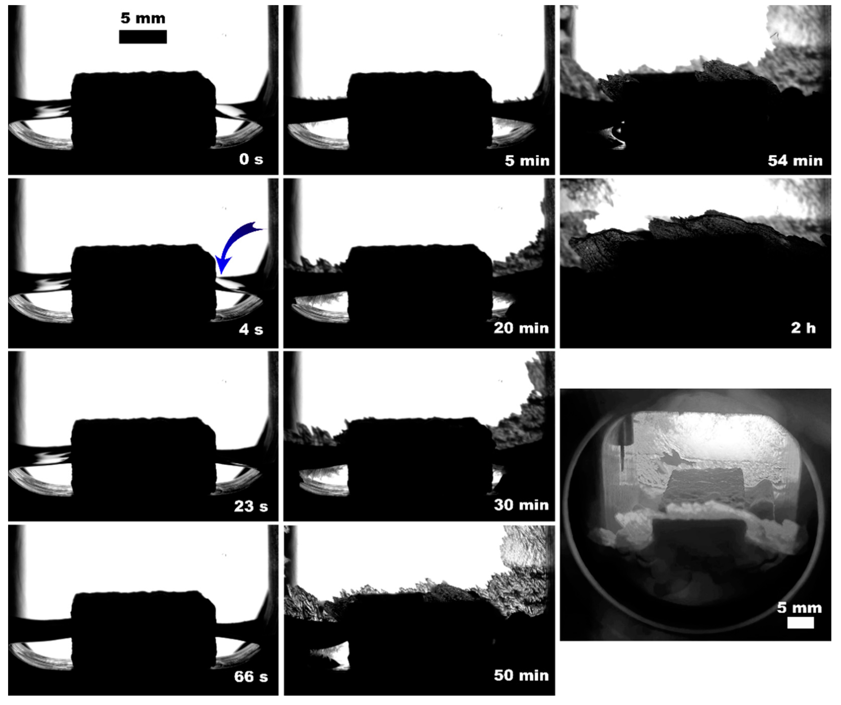 Polymers 15 02312 g006 Polymers 15 02312 g006