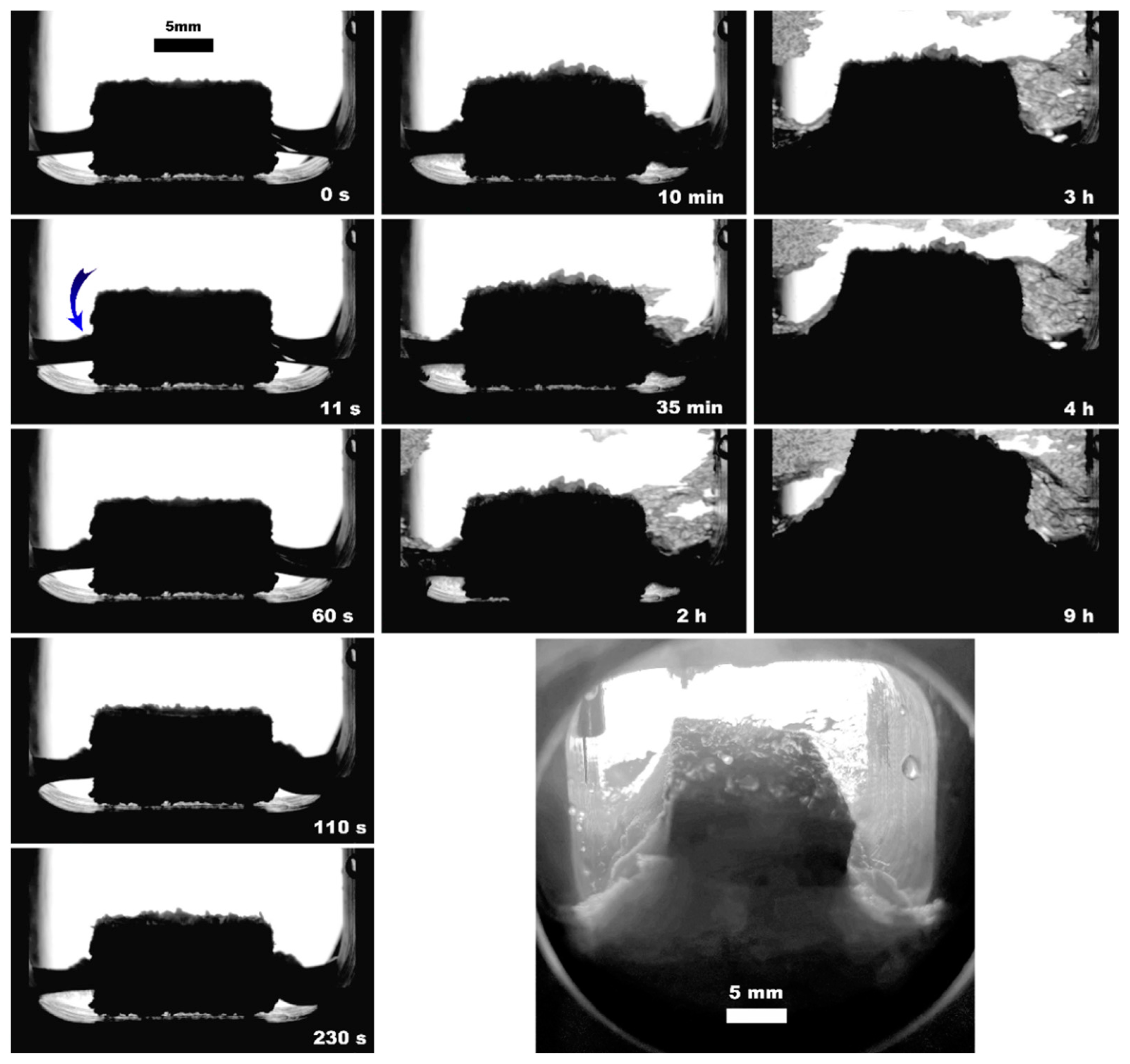 Polymers 15 02312 g007 Polymers 15 02312 g007