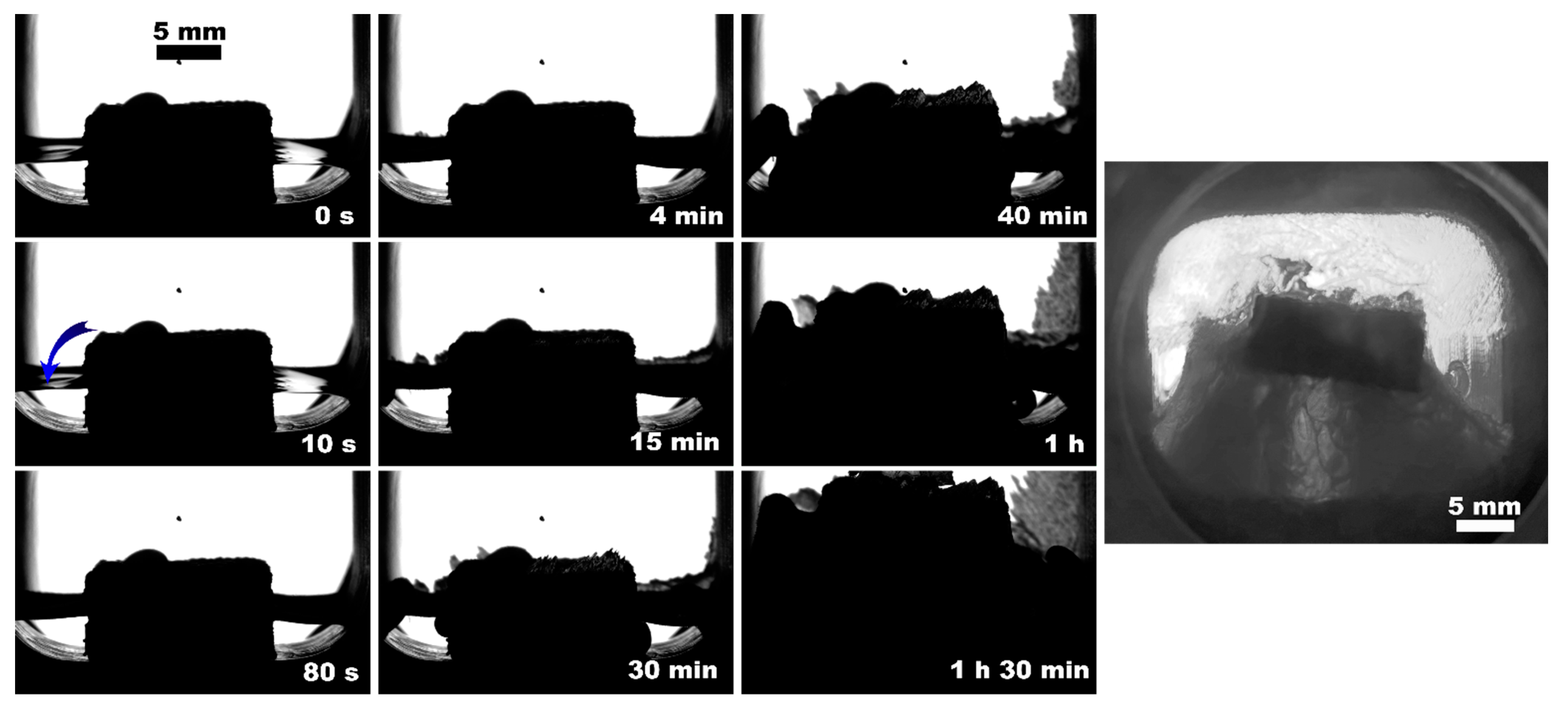 Polymers 15 02312 g008 Polymers 15 02312 g008