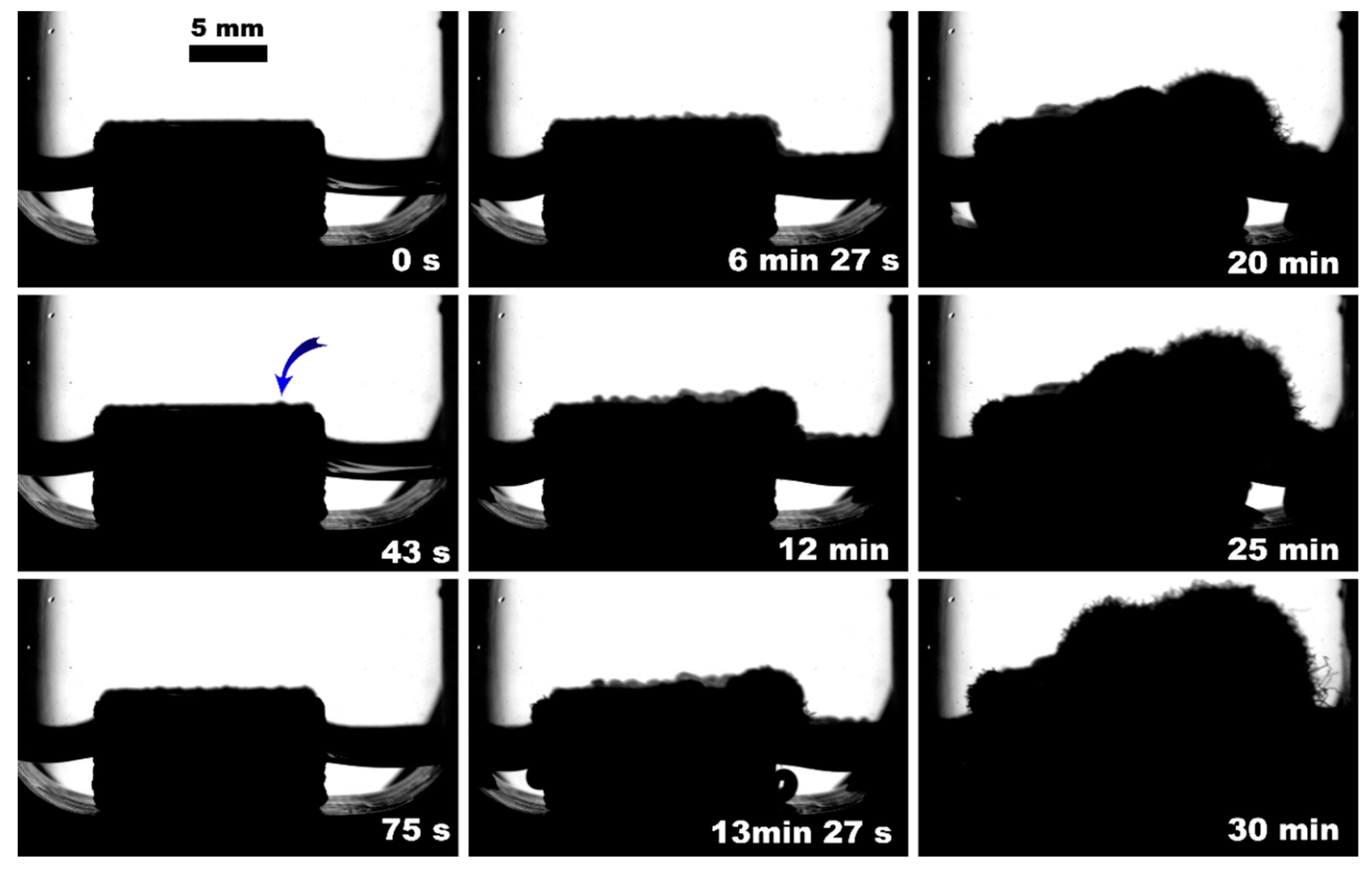 Polymers 15 02312 g009 Polymers 15 02312 g009