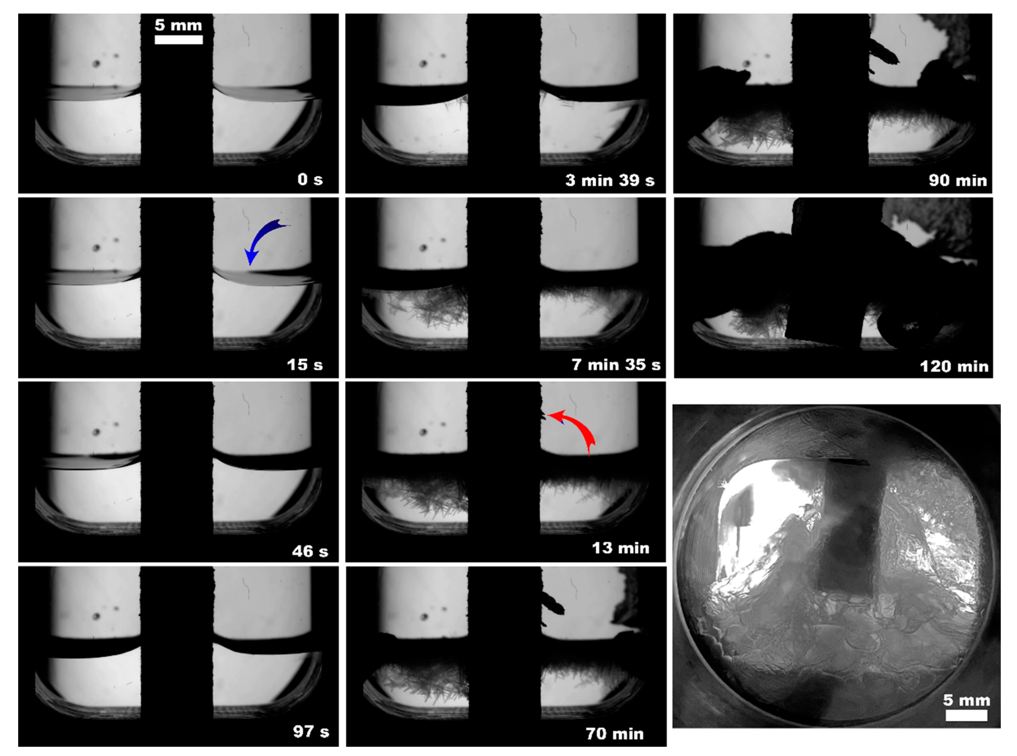 Polymers 15 02312 g011 Polymers 15 02312 g011