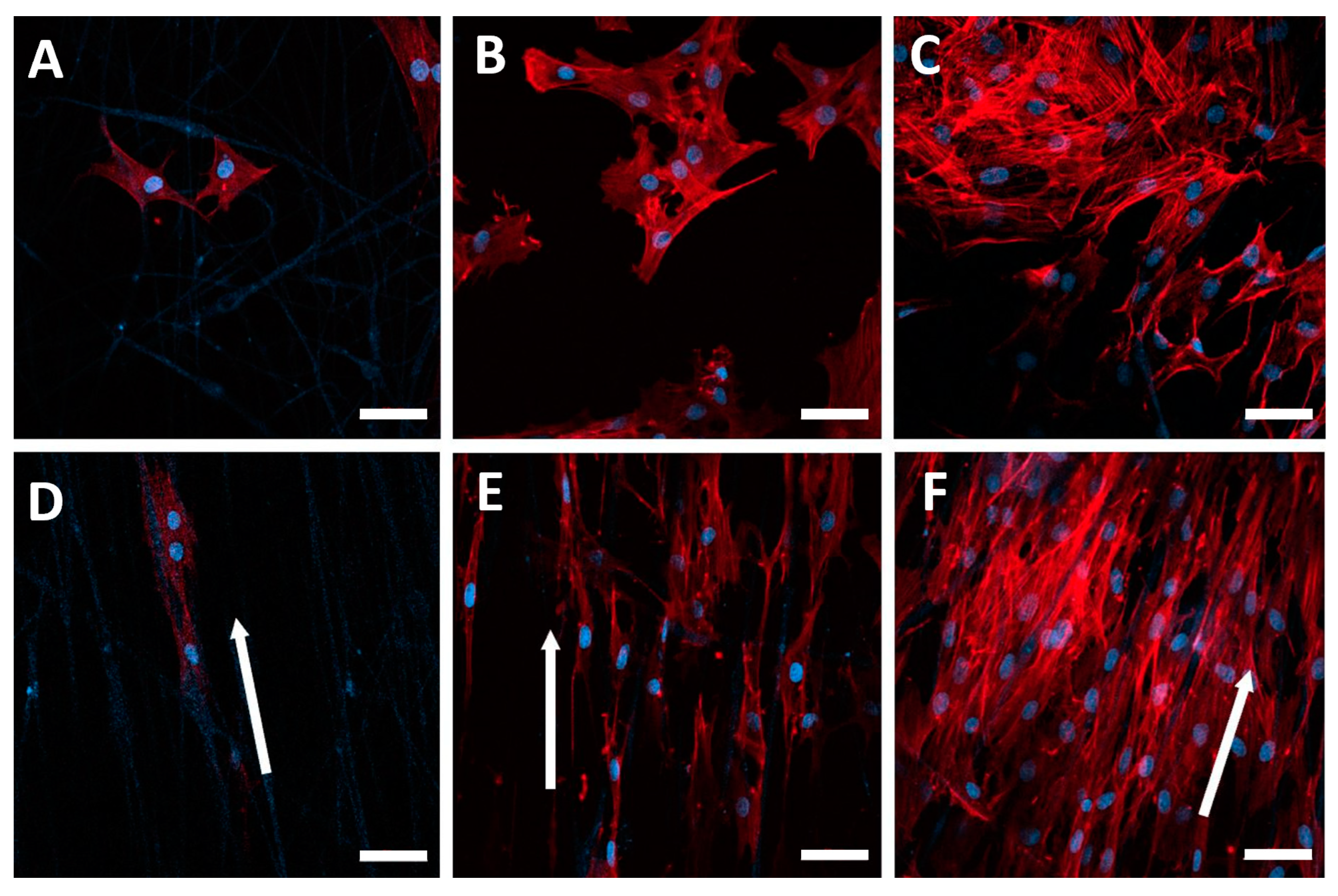 Polymers 15 02313 g004 Polymers 15 02313 g004