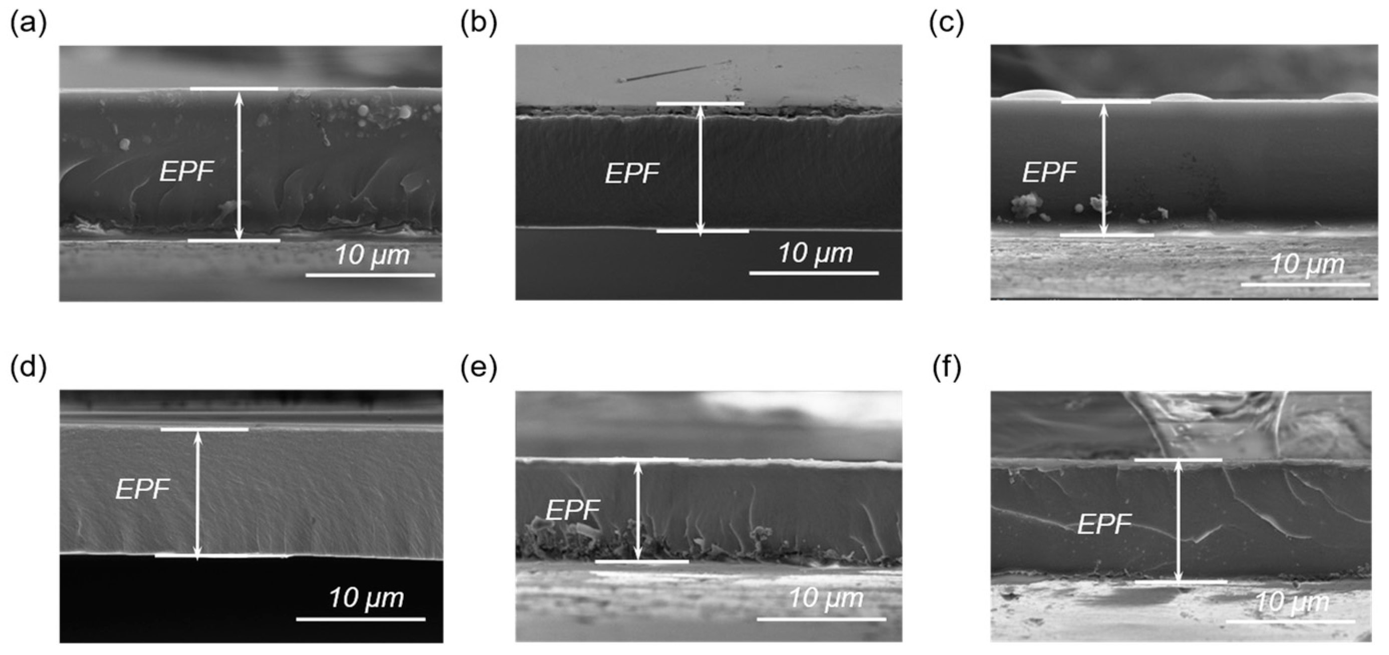 Polymers 15 02315 g0a1 Polymers 15 02315 g0a1