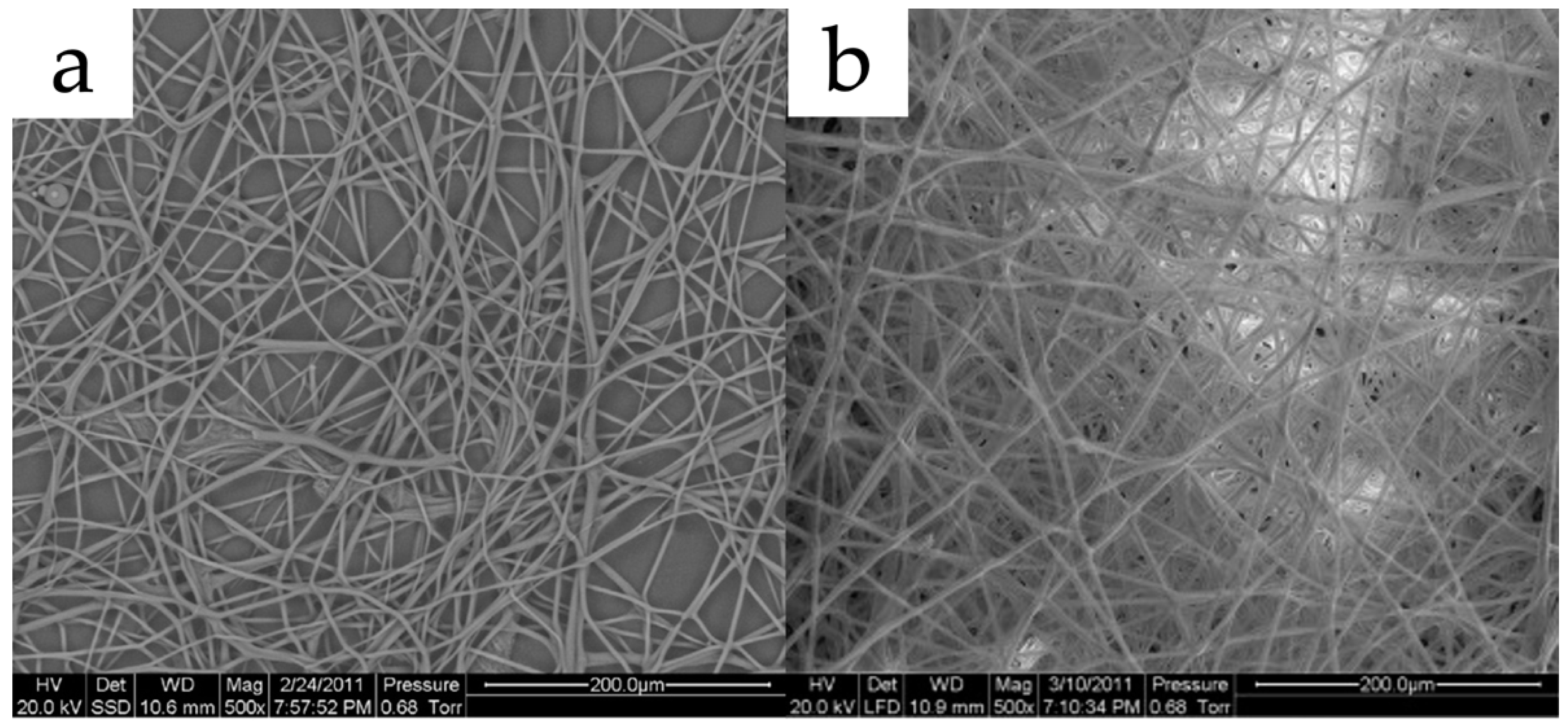 Polymers 15 02318 g002