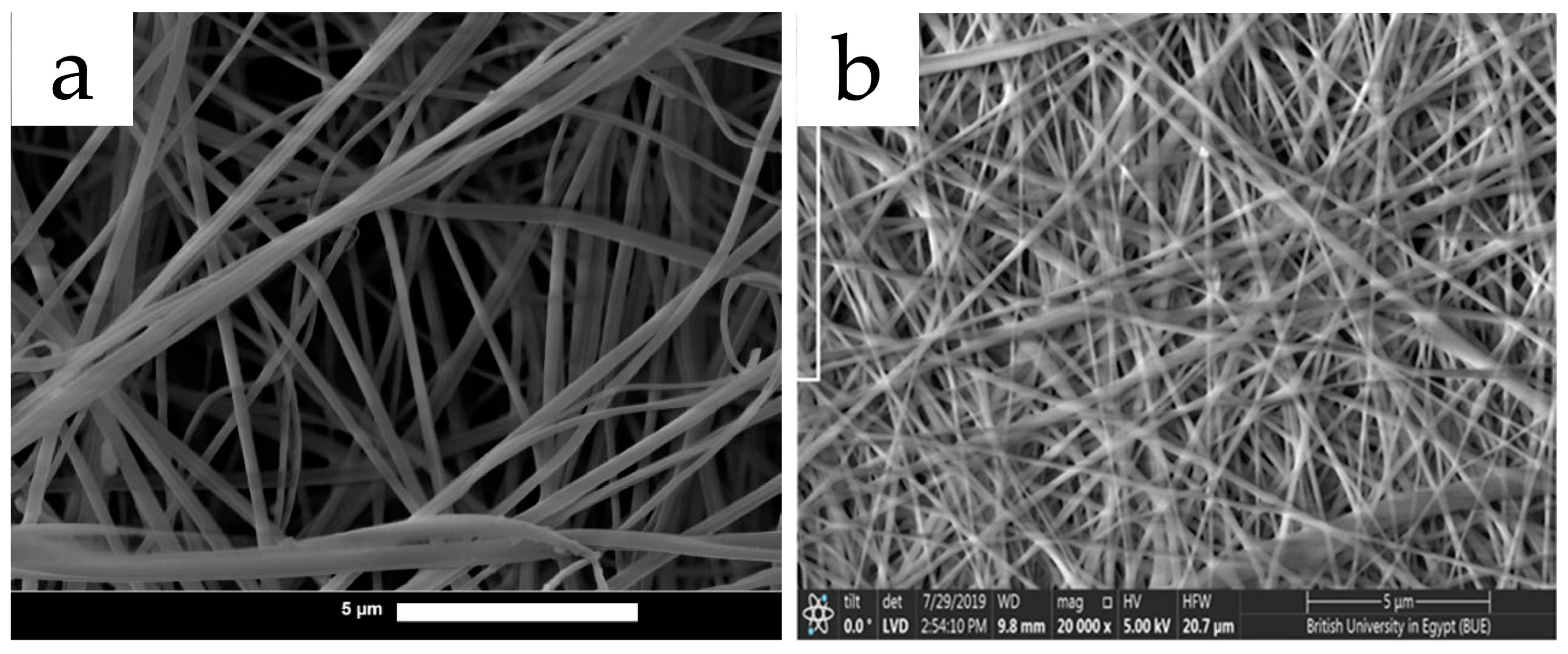 Polymers 15 02318 g006