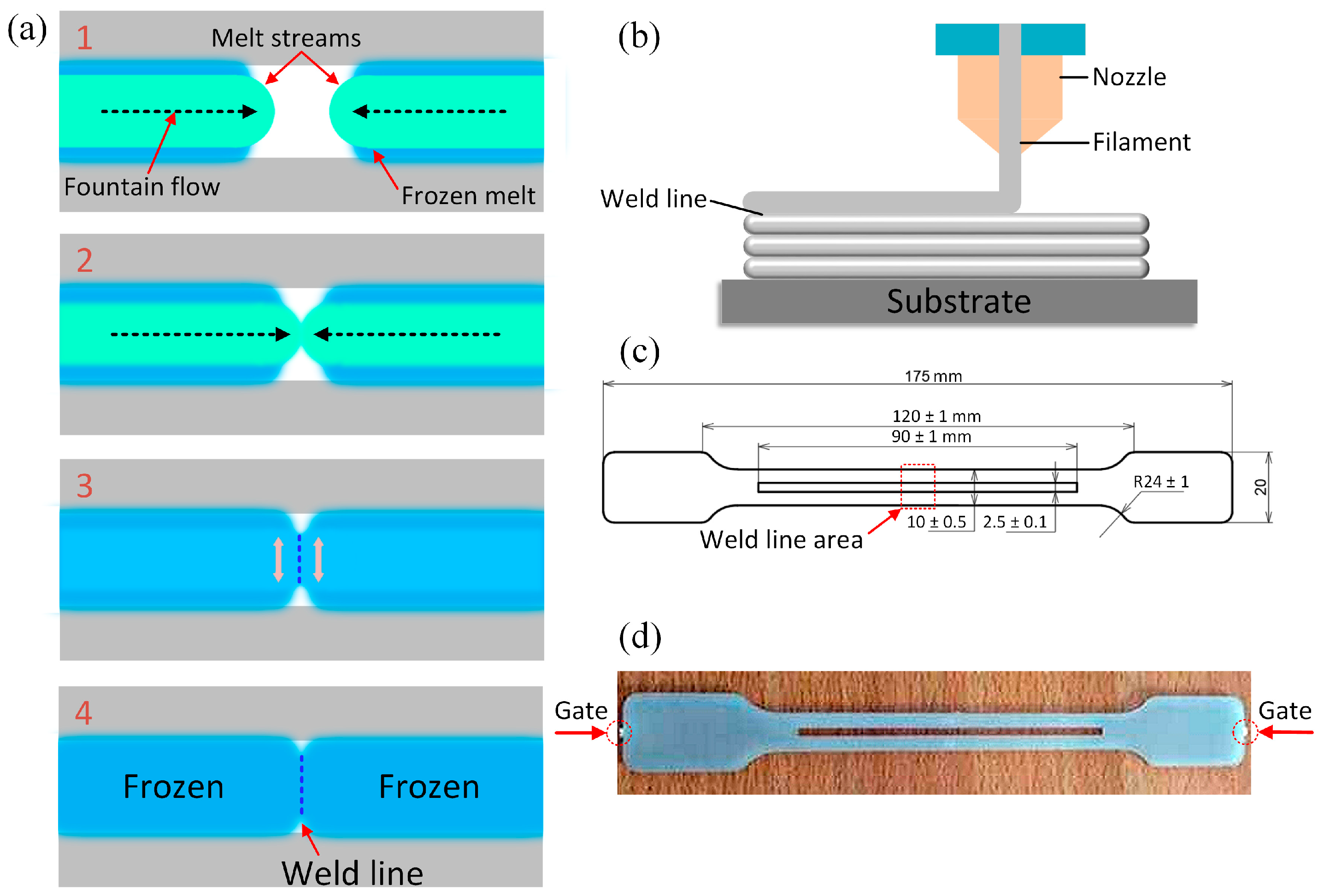 Polymers 15 02321 g001