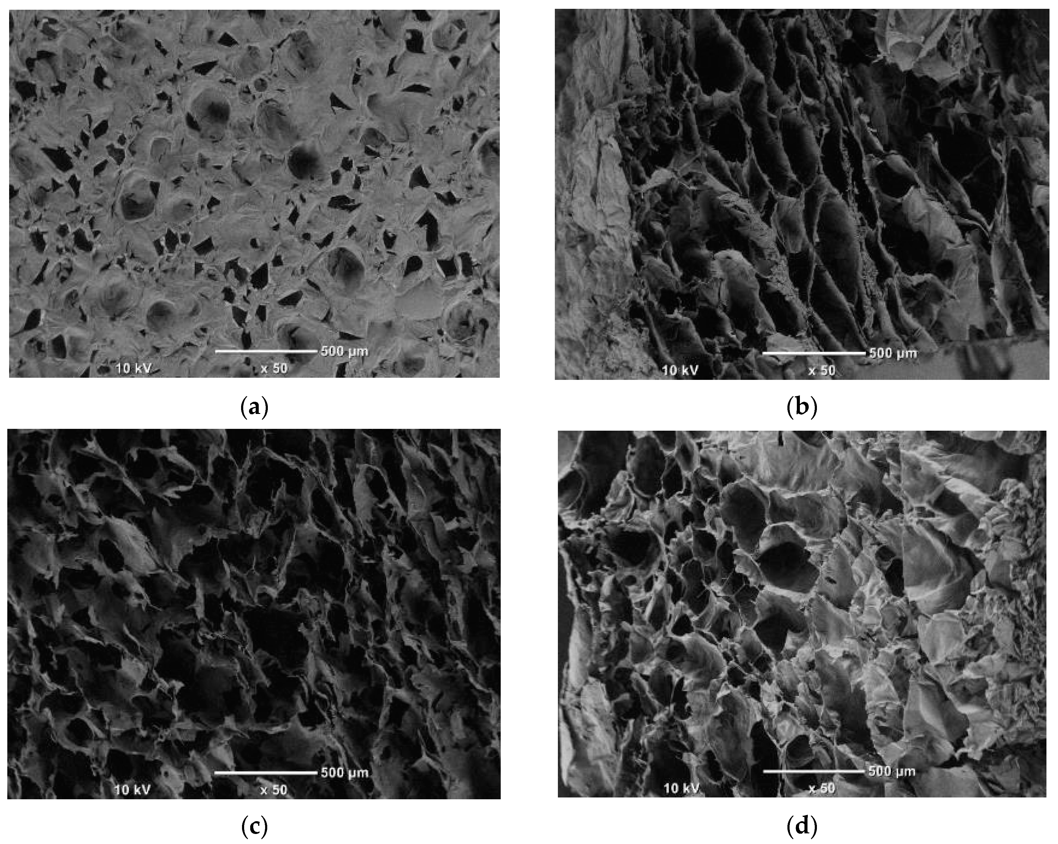 Polymers 15 02322 g008a Polymers 15 02322 g008a