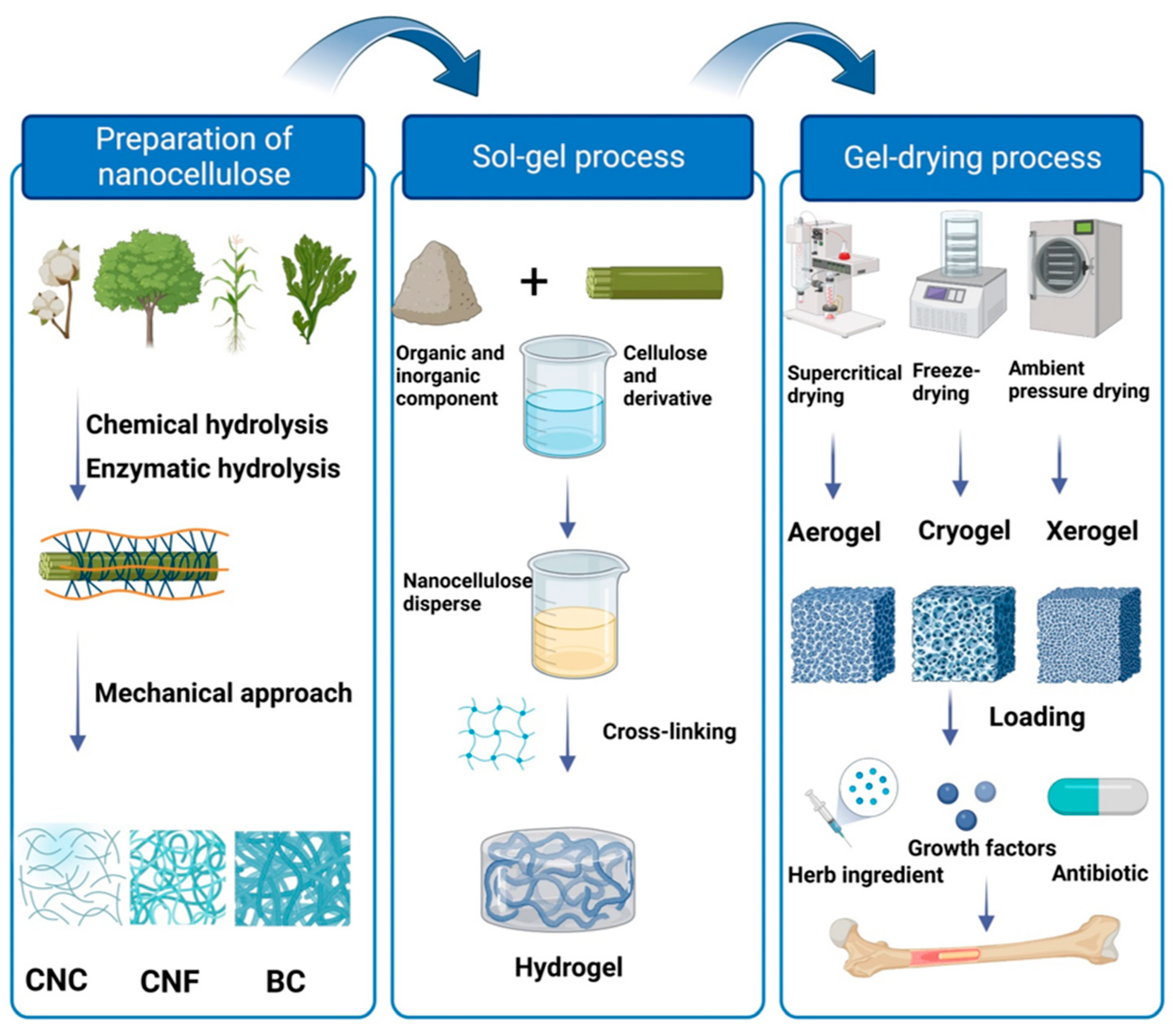 Polymers | Free Full-Text | Application of Nanocellulose-Based 