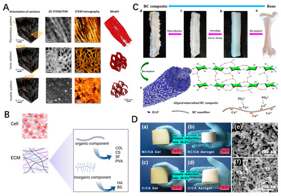 Polymers | Free Full-Text | Application of Nanocellulose-Based 
