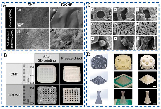 Application of Nanocellulose-Based Aerogels in Bone Tissue