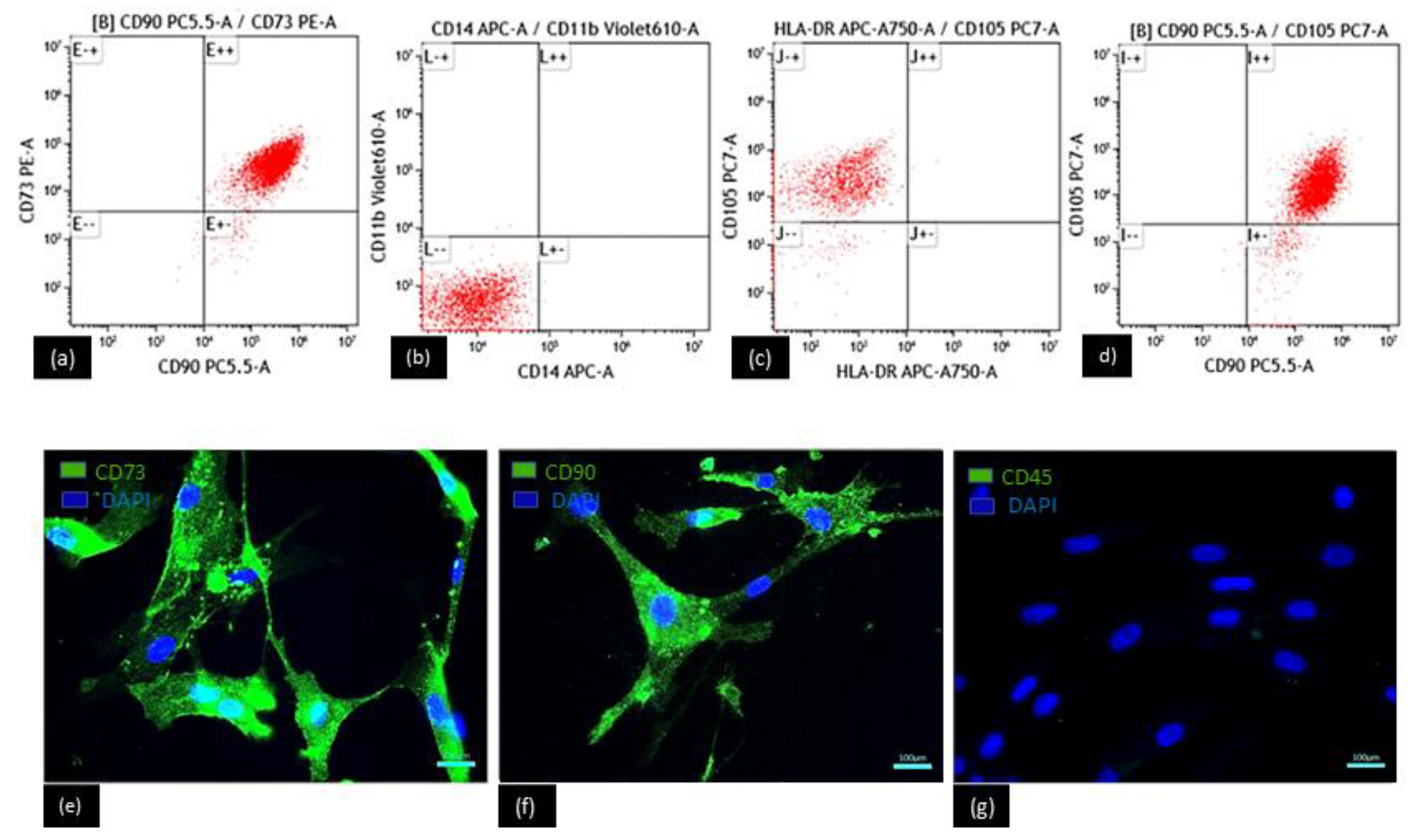 Polymers 15 02324 g007 Polymers 15 02324 g007