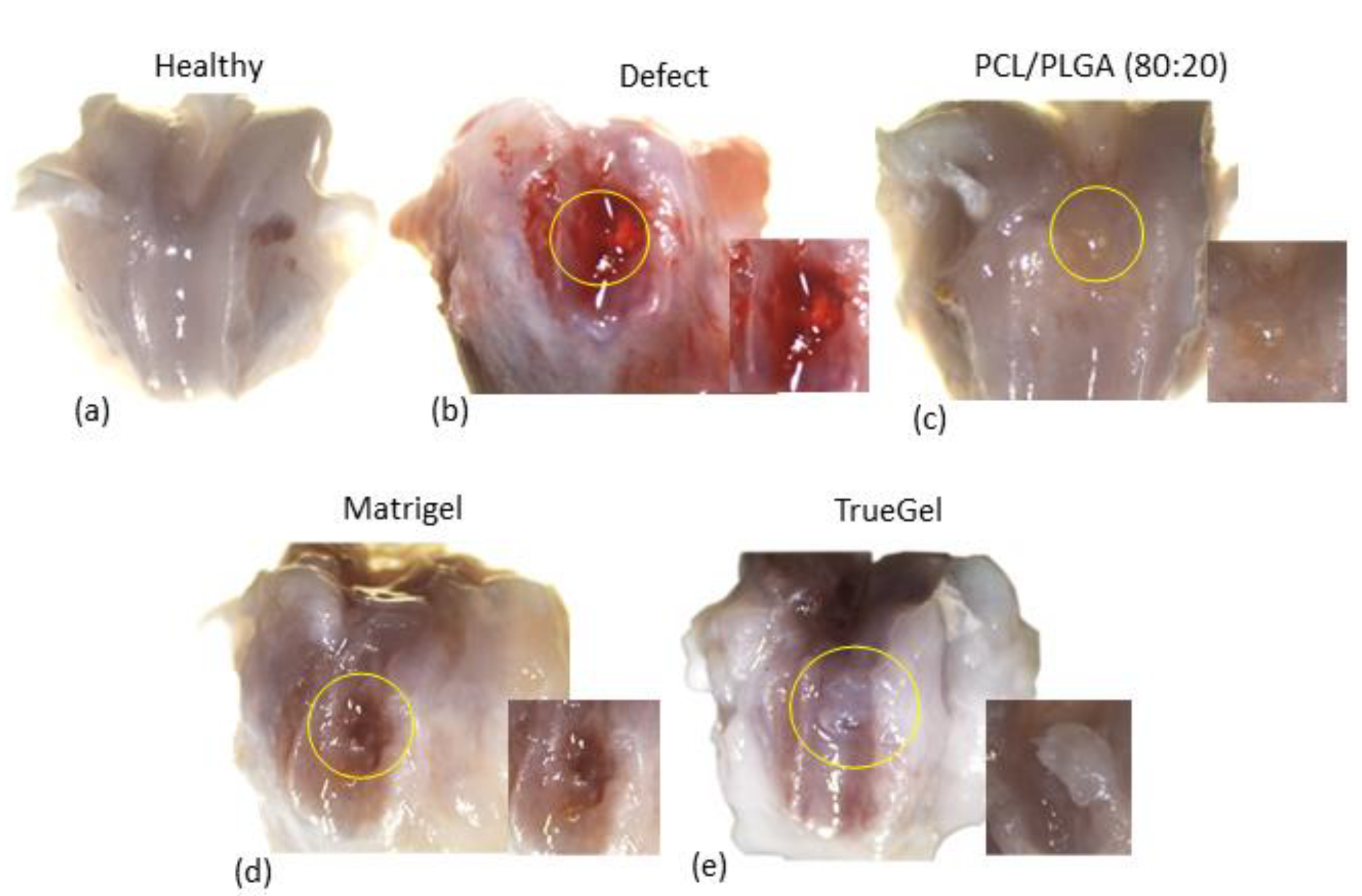 Polymers 15 02324 g012 Polymers 15 02324 g012