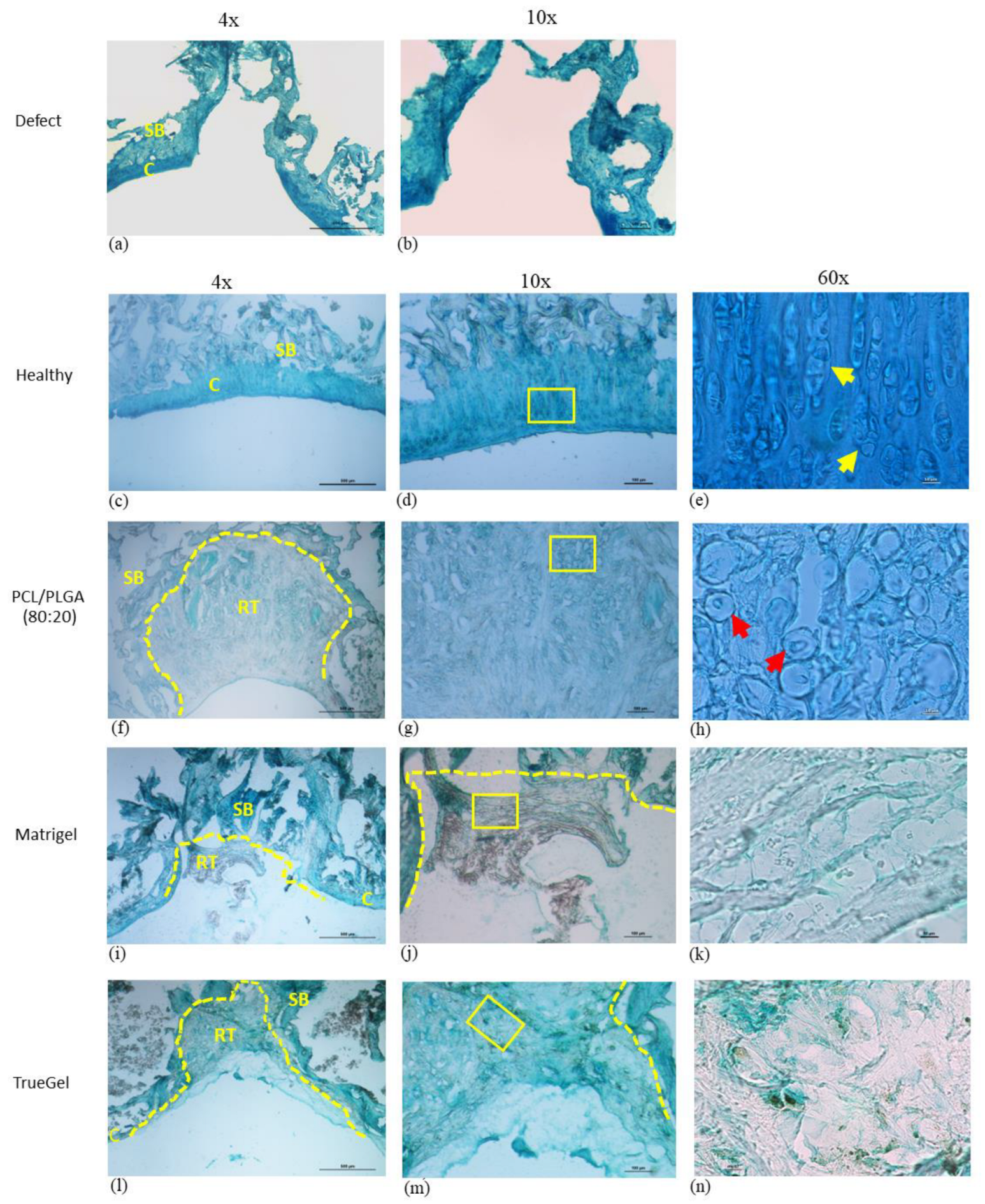 Polymers 15 02324 g014 Polymers 15 02324 g014