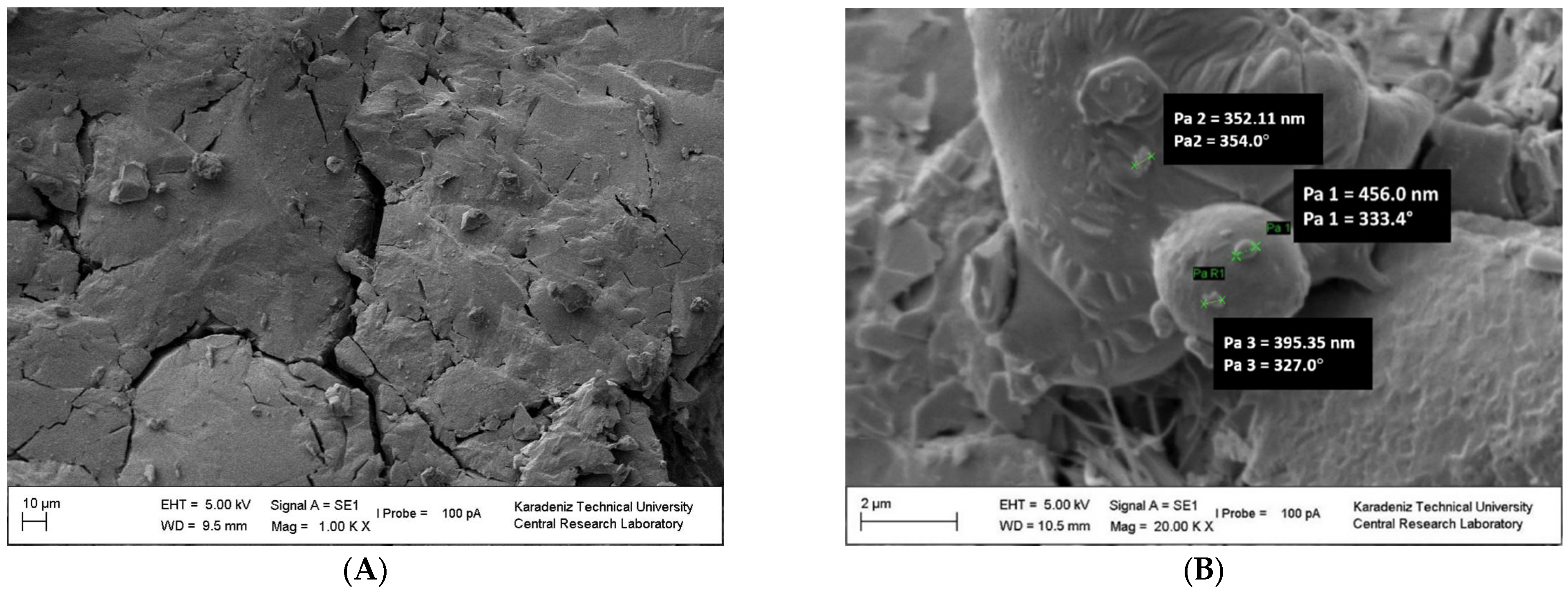 Polymers 15 02326 g006