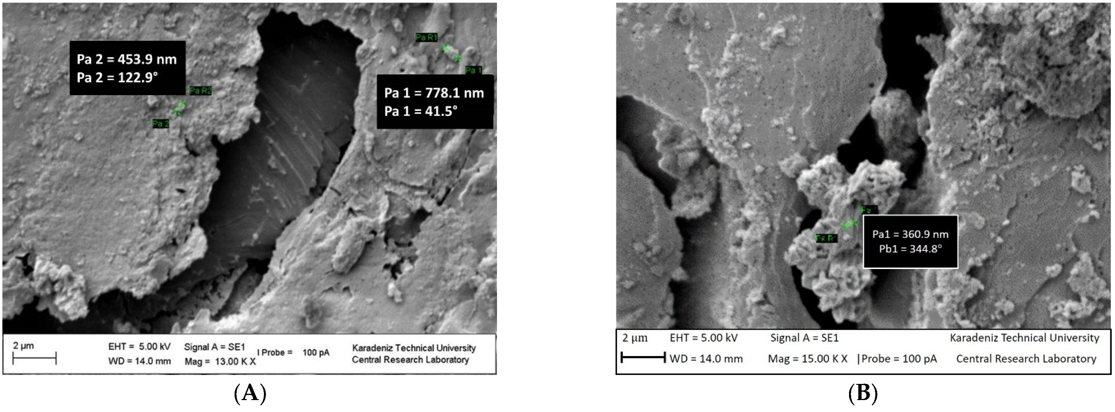 Polymers 15 02326 g009