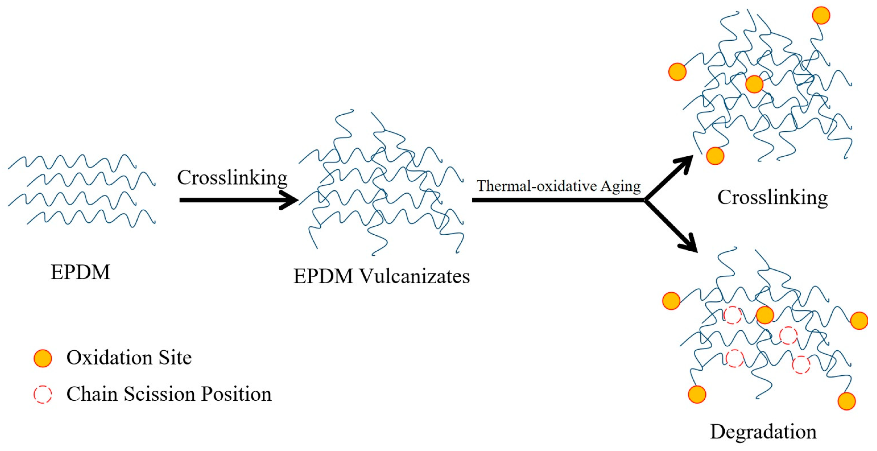 Polymers 15 02329 sch001 Polymers 15 02329 sch001