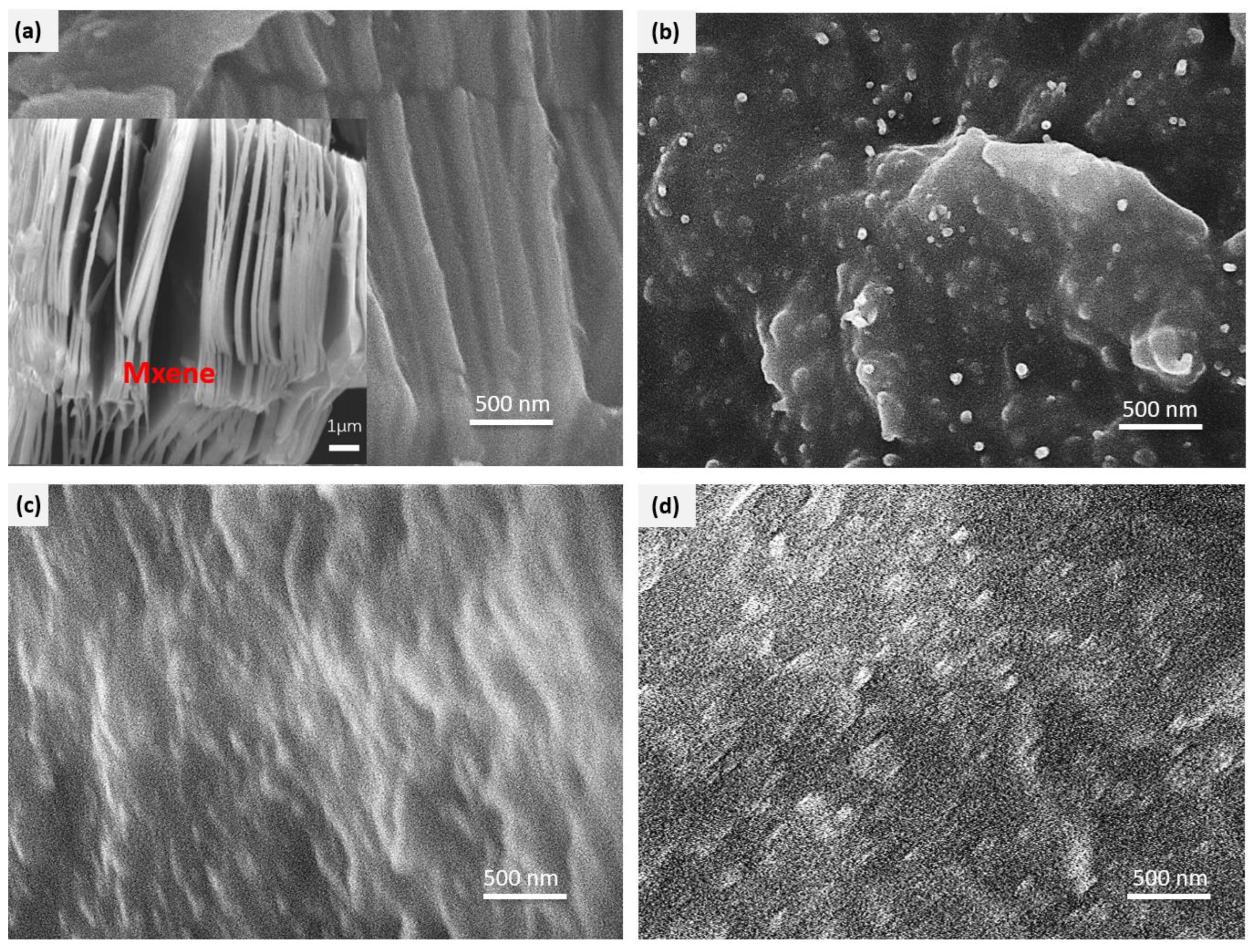 Polymers 15 02332 g004 Polymers 15 02332 g004