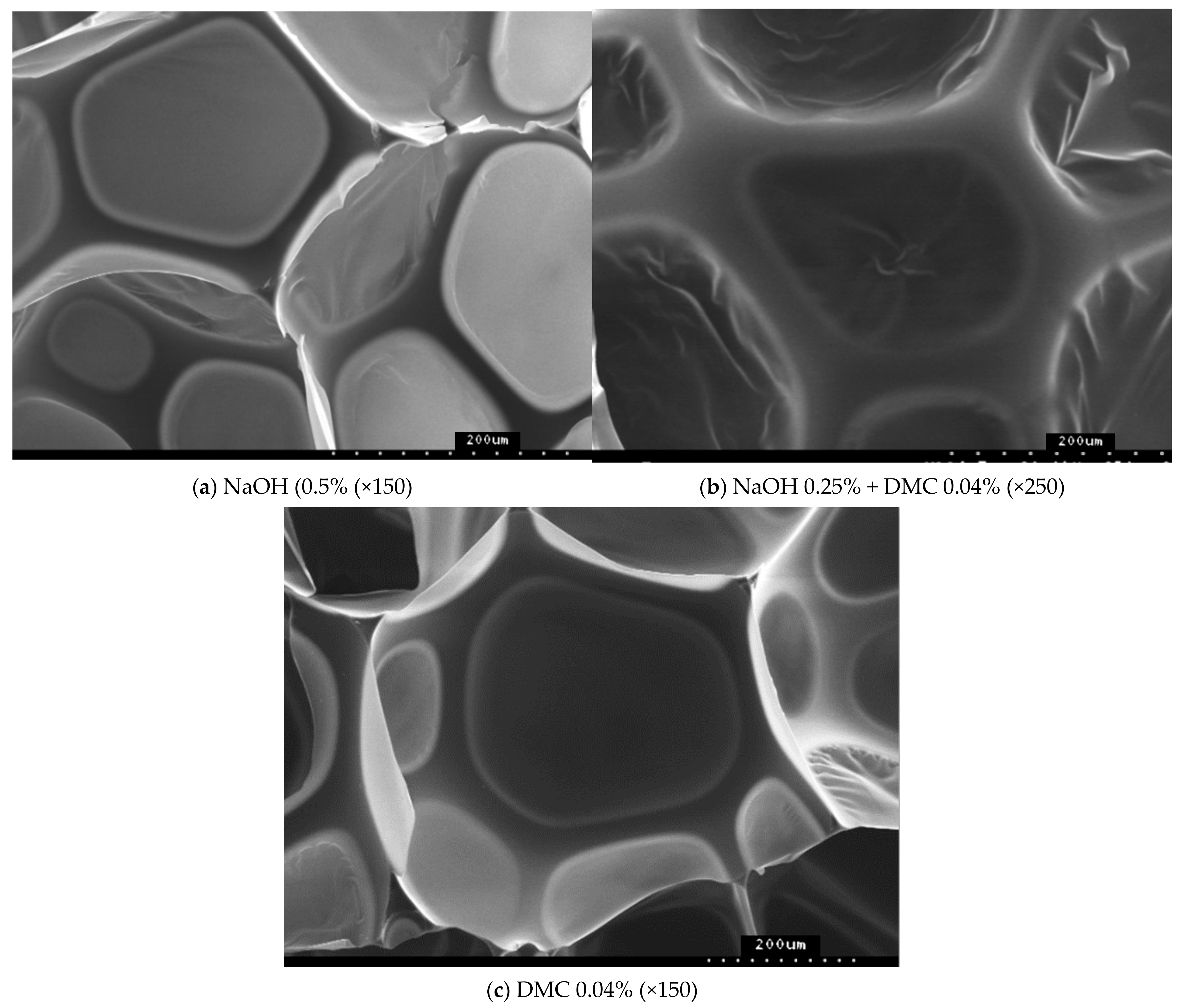 Polymers 15 02337 g009