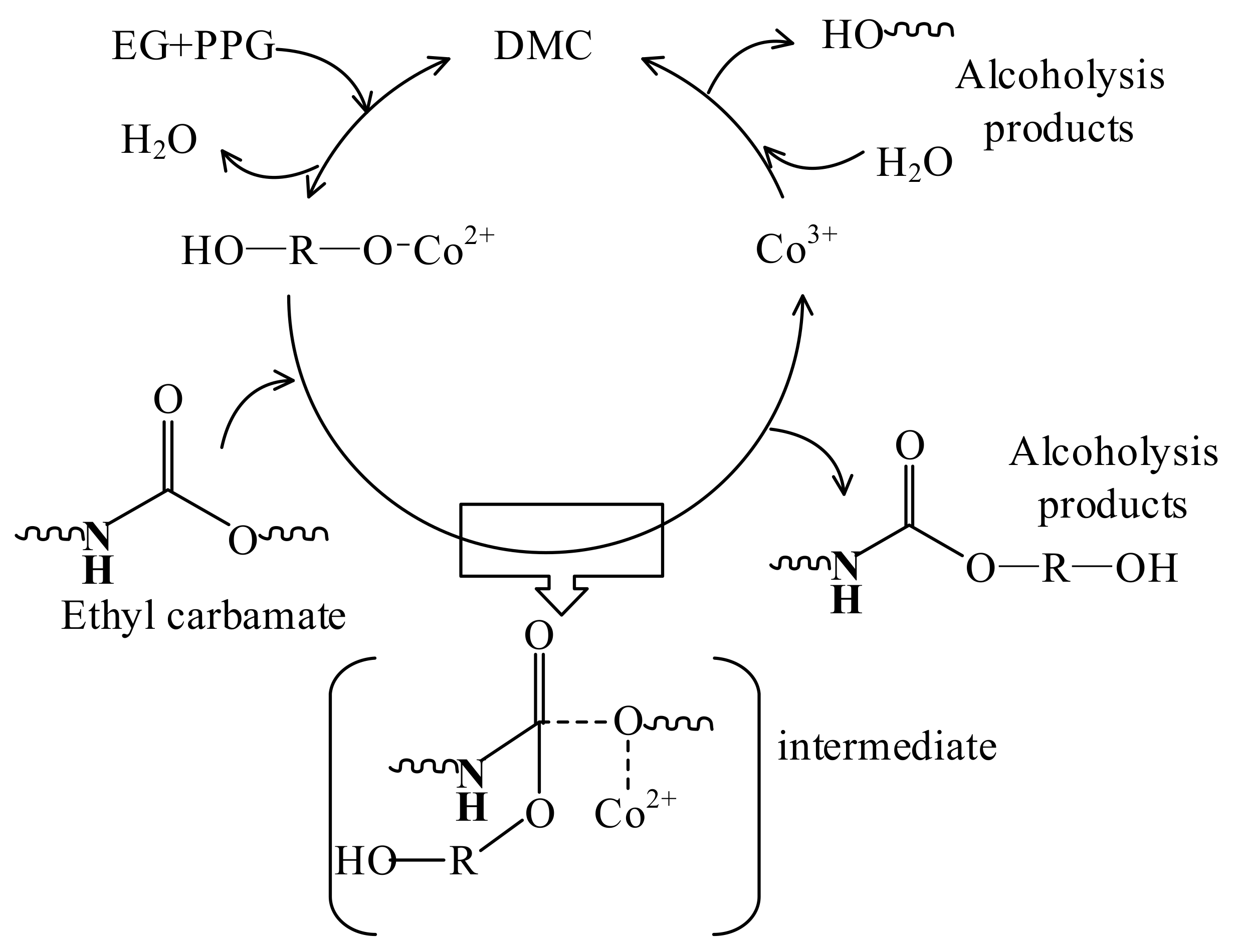 Polymers 15 02337 sch001