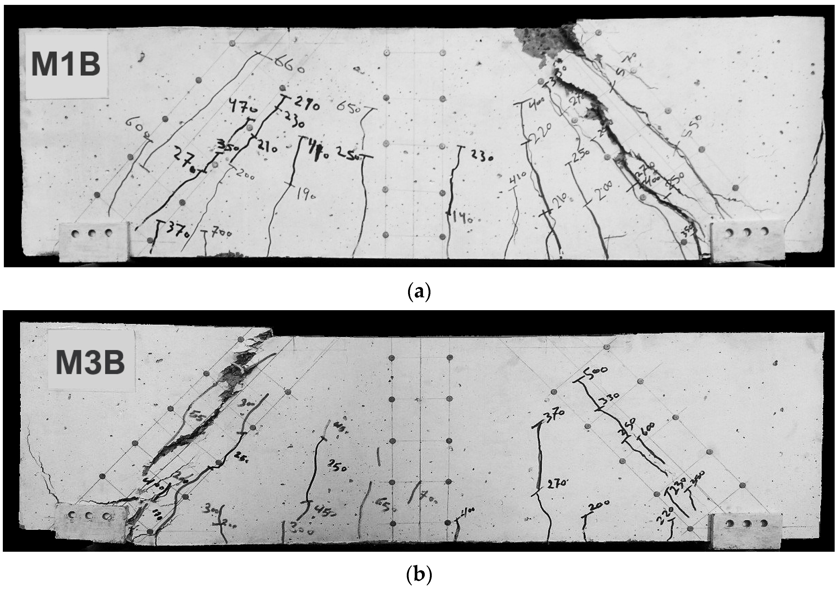 Polymers 15 02340 g007