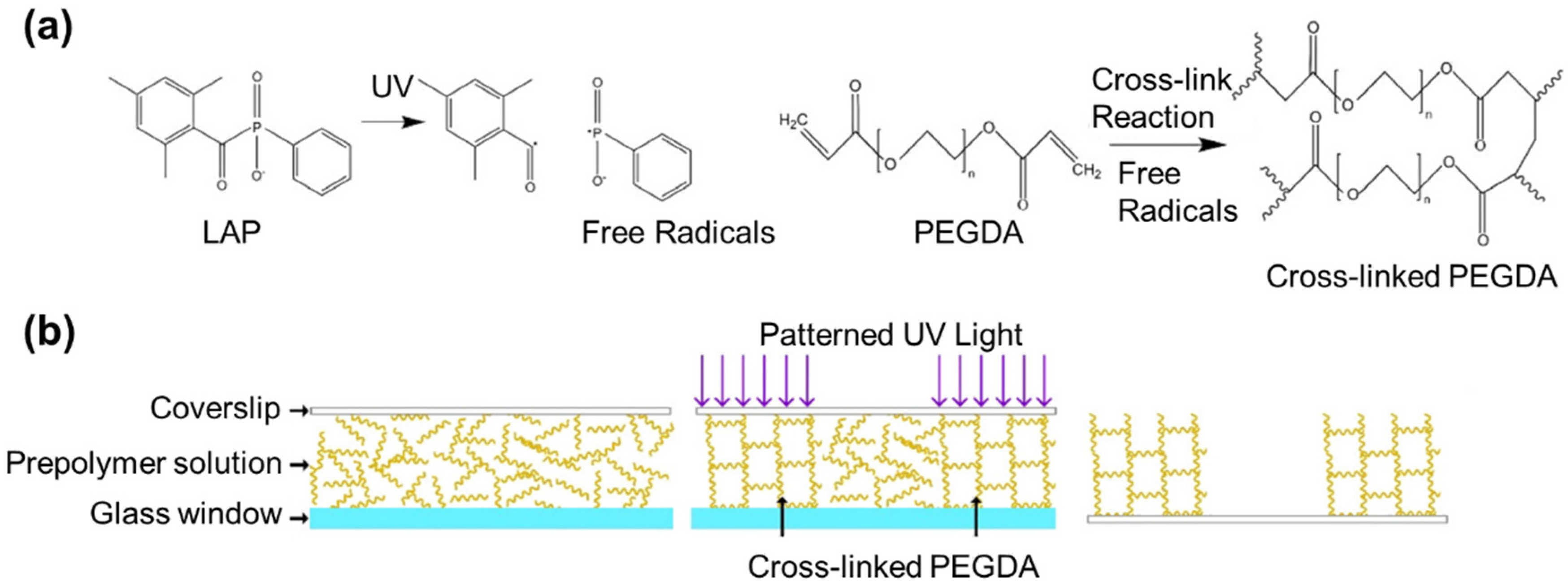 Polymers 15 02341 g004
