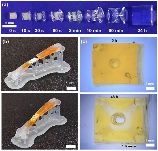 Additive Manufacturing and Physicomechanical Characteristics