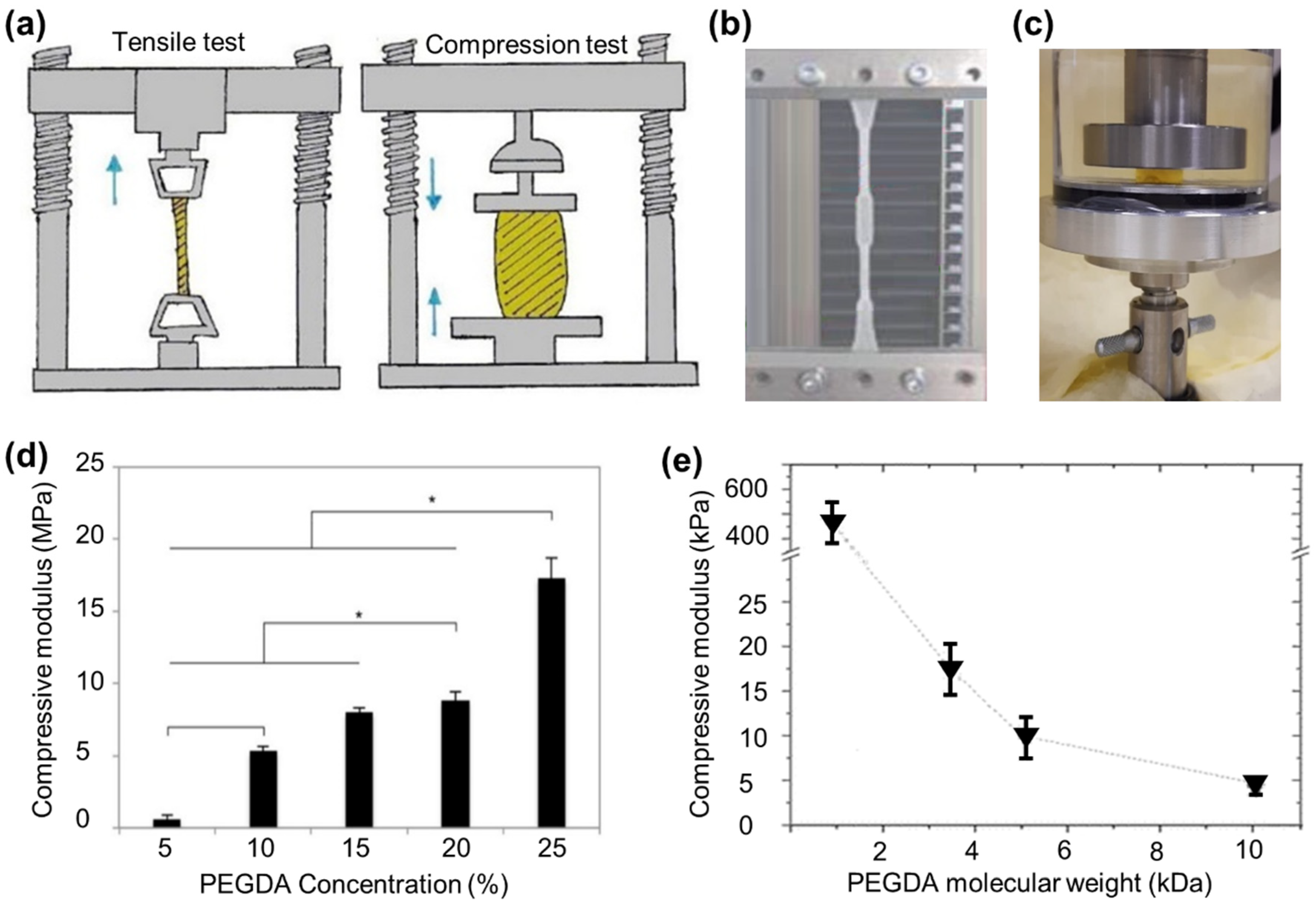 Polymers 15 02341 g007