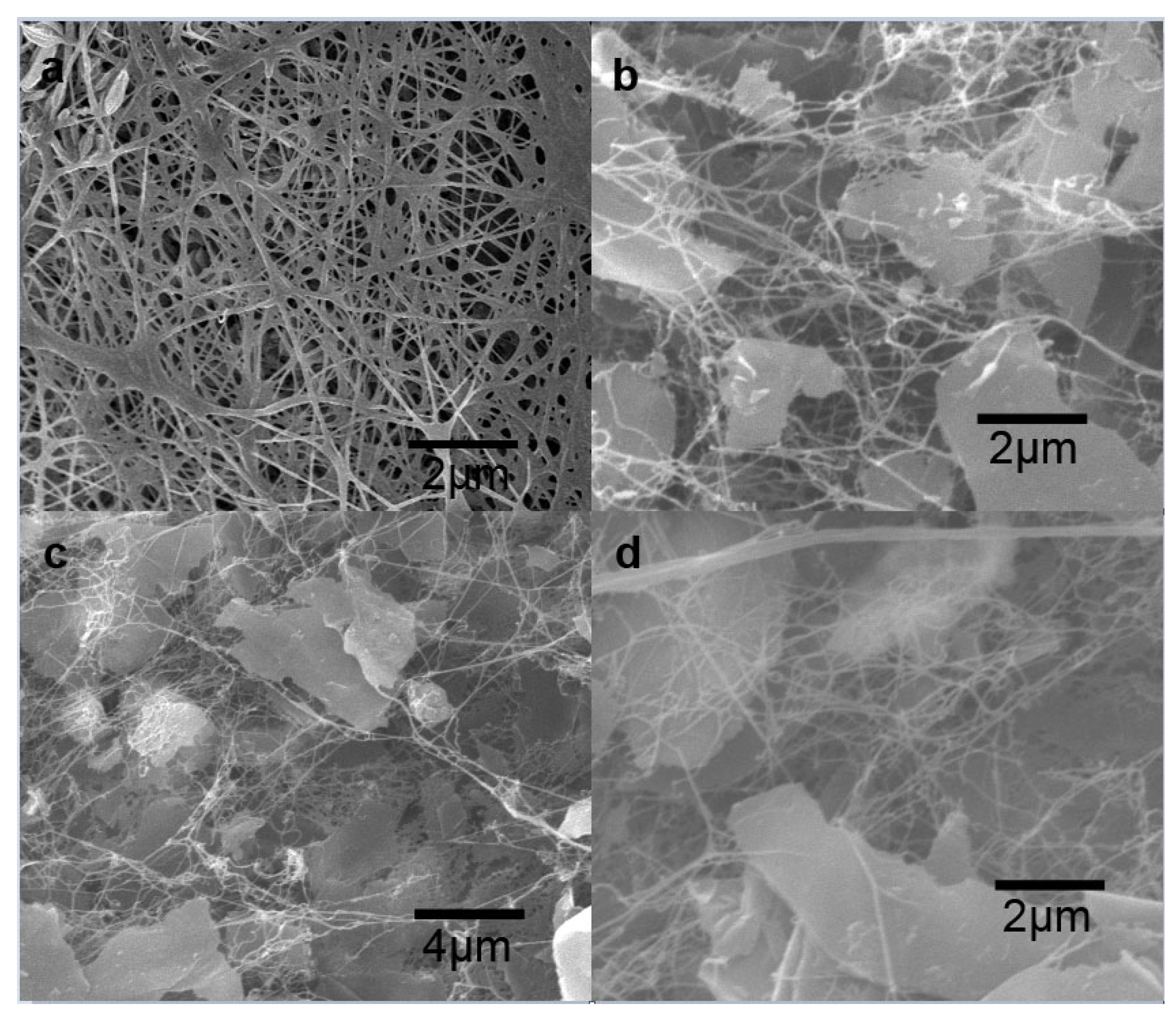 Polymers 15 02342 g001 Polymers 15 02342 g001
