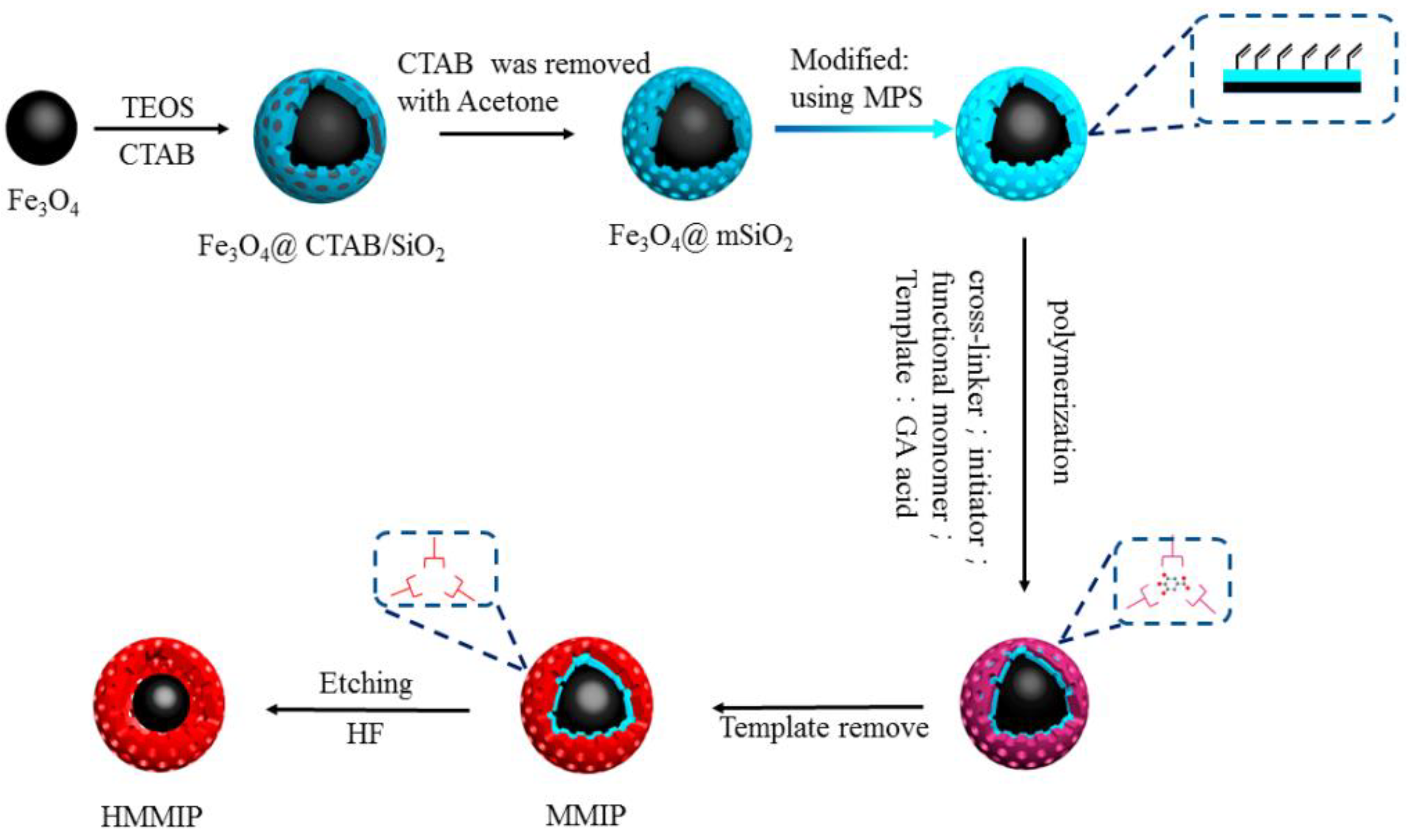 Polymers 15 02344 g002