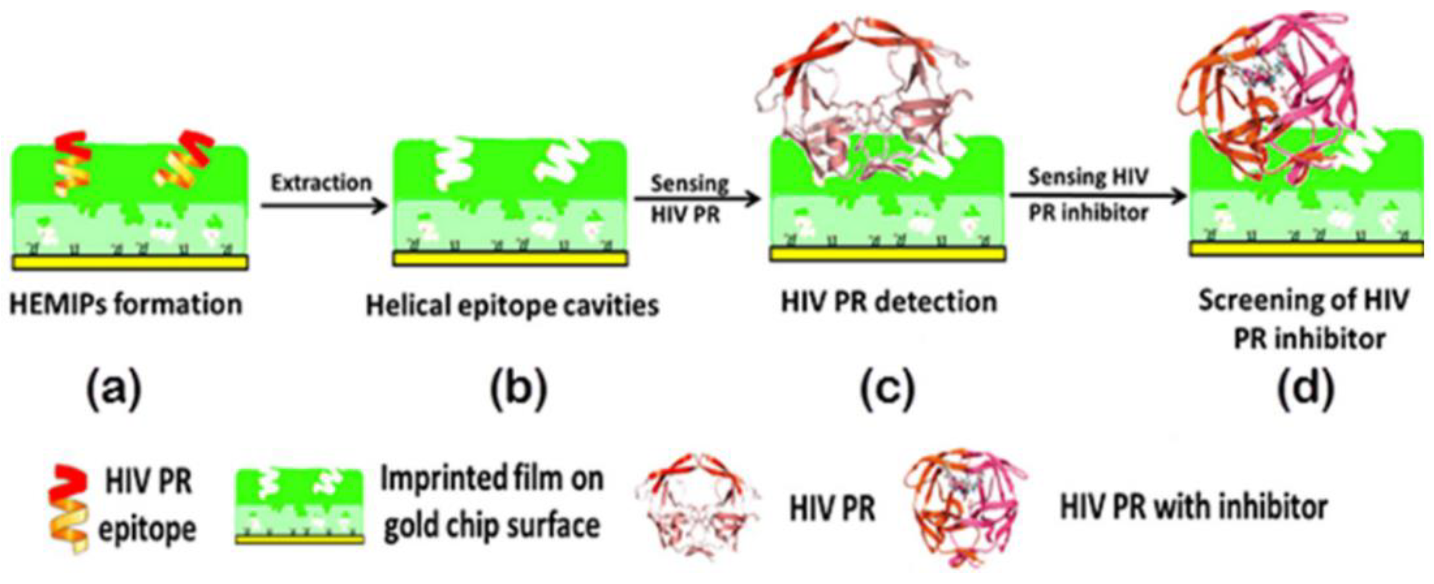 Polymers 15 02344 g003