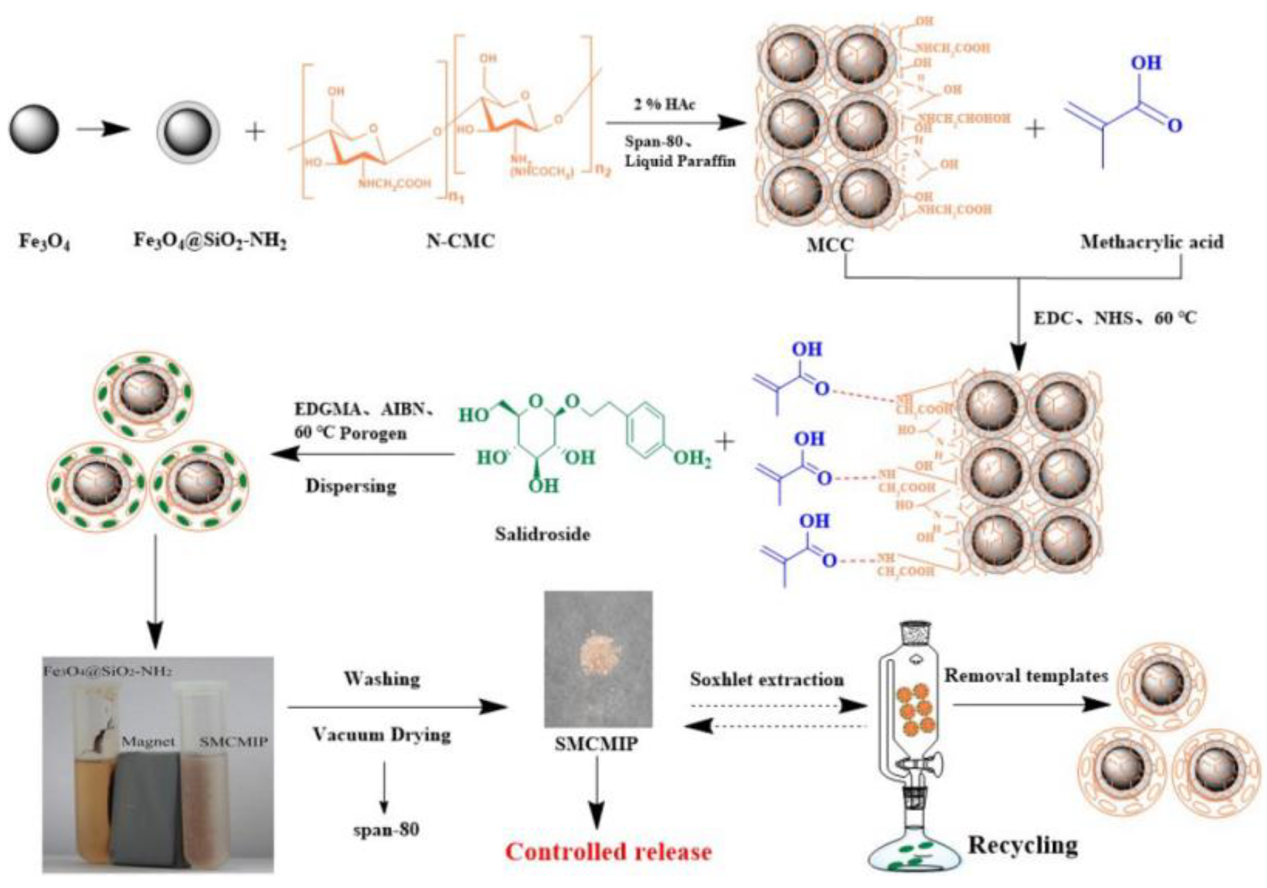 Polymers 15 02344 g013