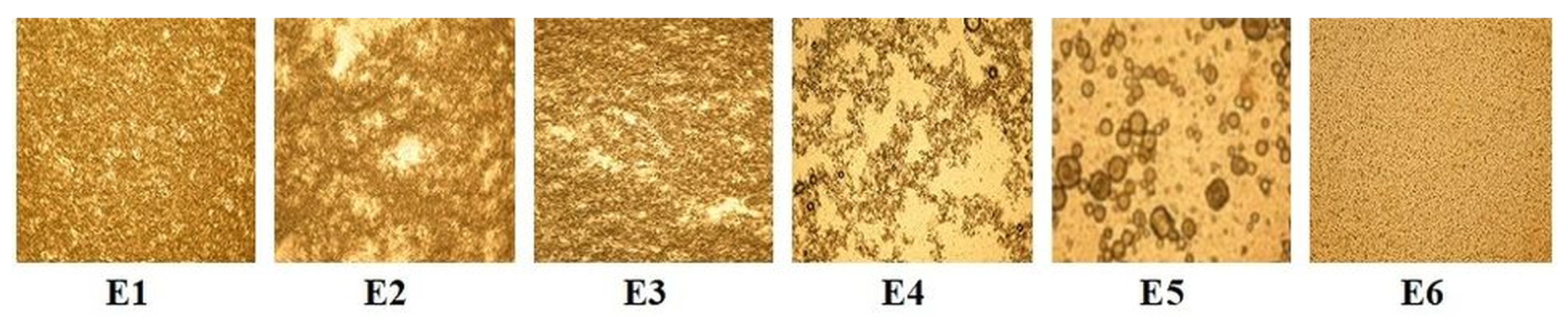 Polymers 15 02348 g001 Polymers 15 02348 g001
