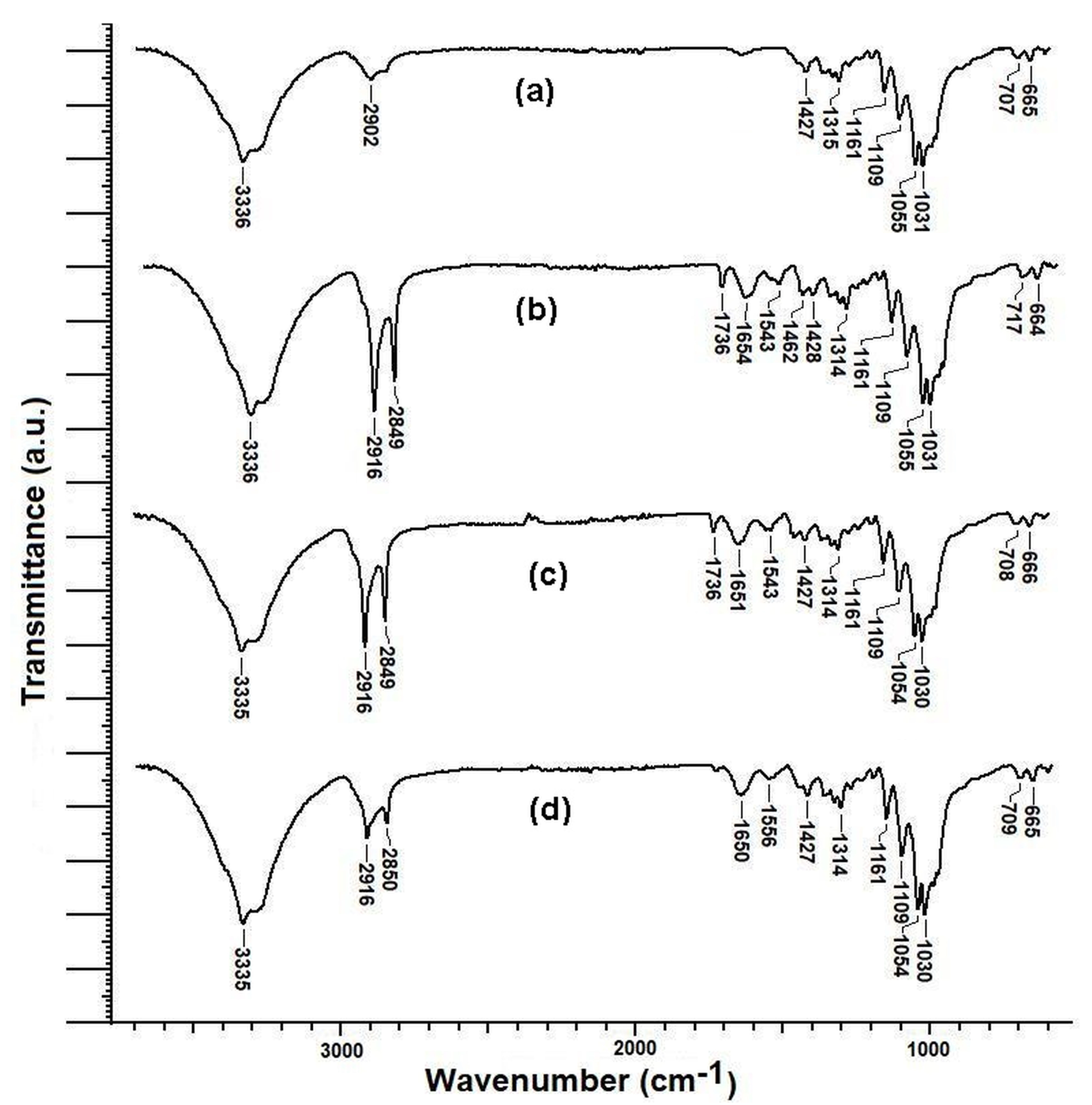 Polymers 15 02348 g005 Polymers 15 02348 g005