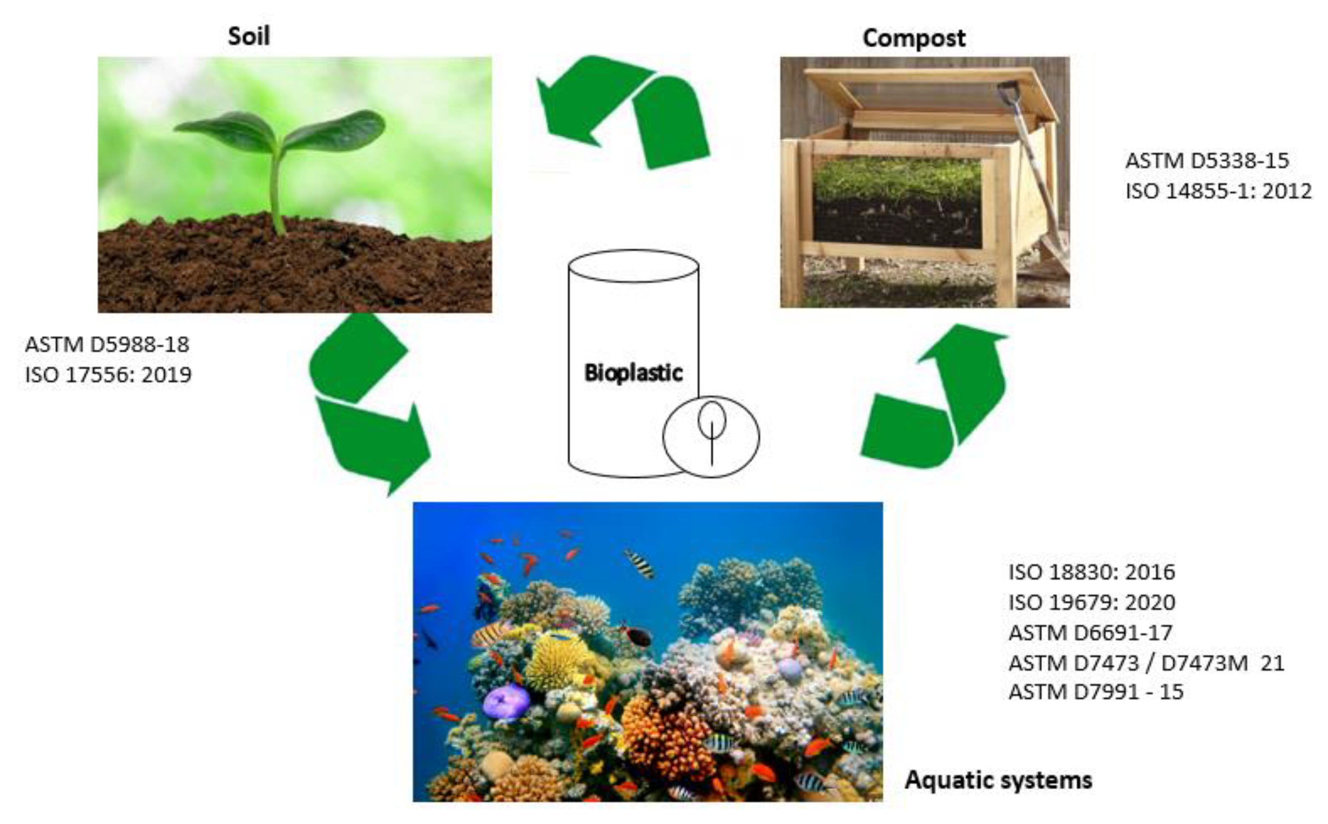 Polymers 15 02355 g002