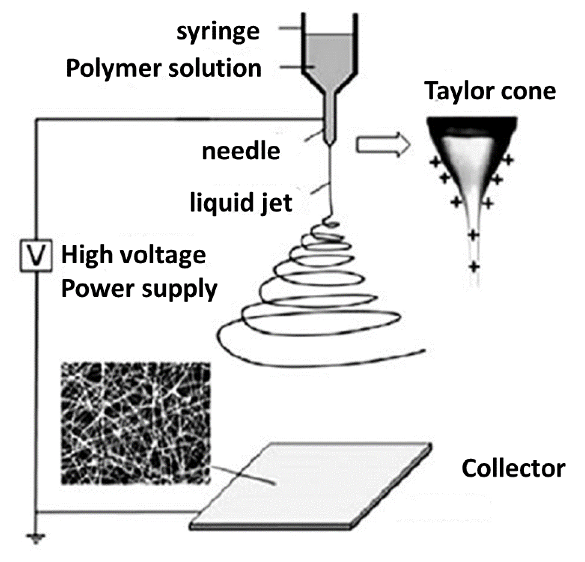Polymers 15 02355 g005