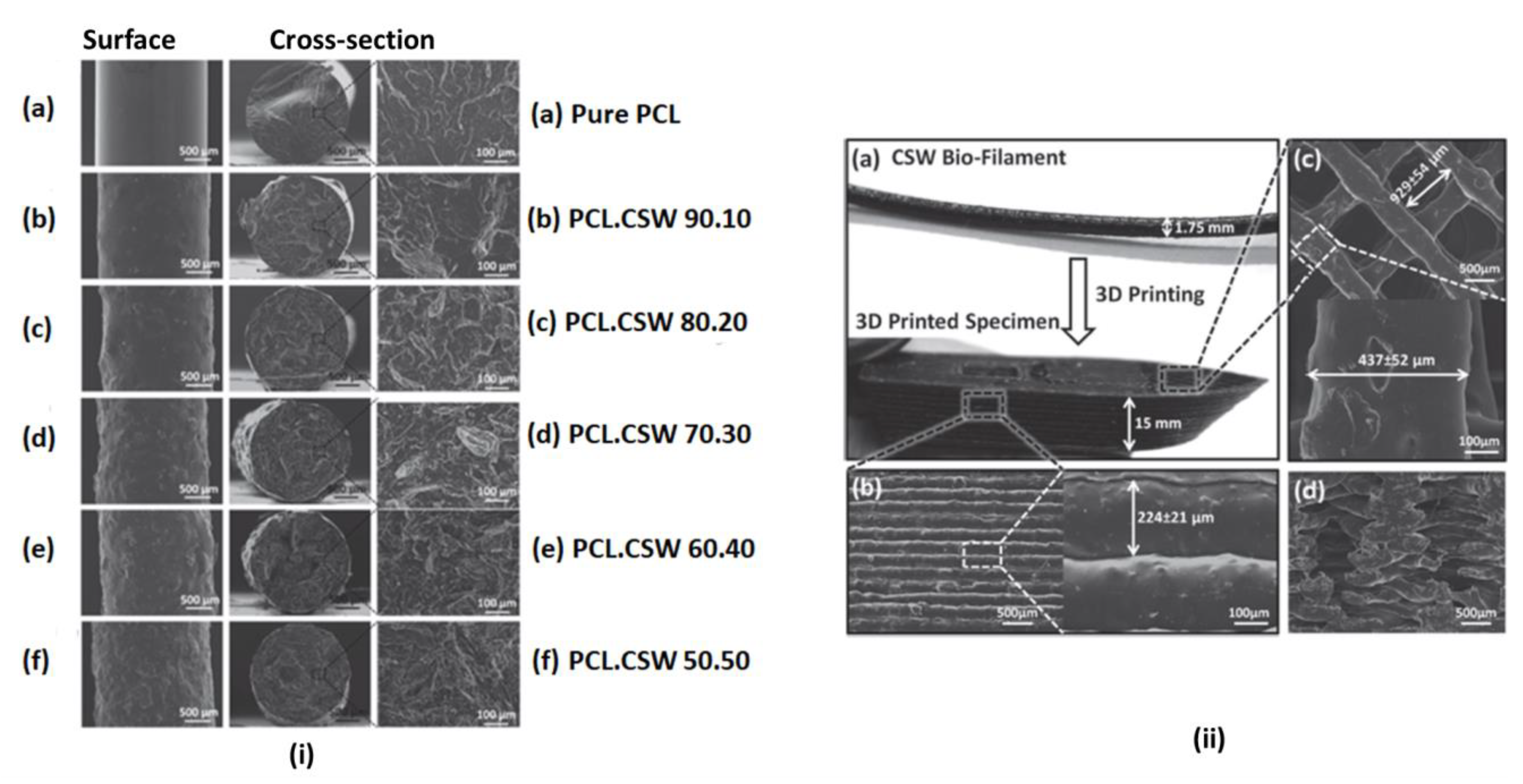 Polymers 15 02355 g006
