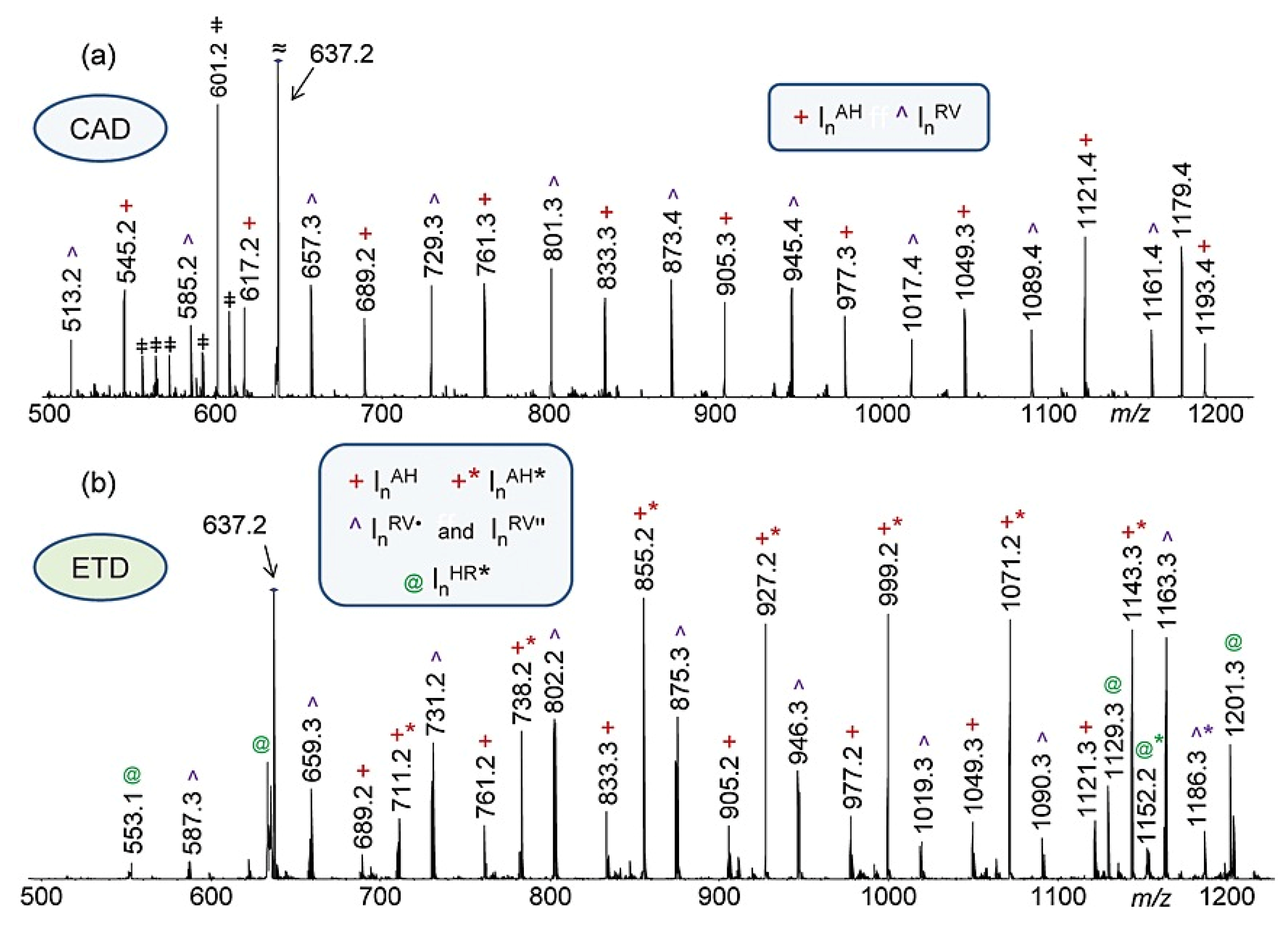Polymers 15 02356 g005 Polymers 15 02356 g005