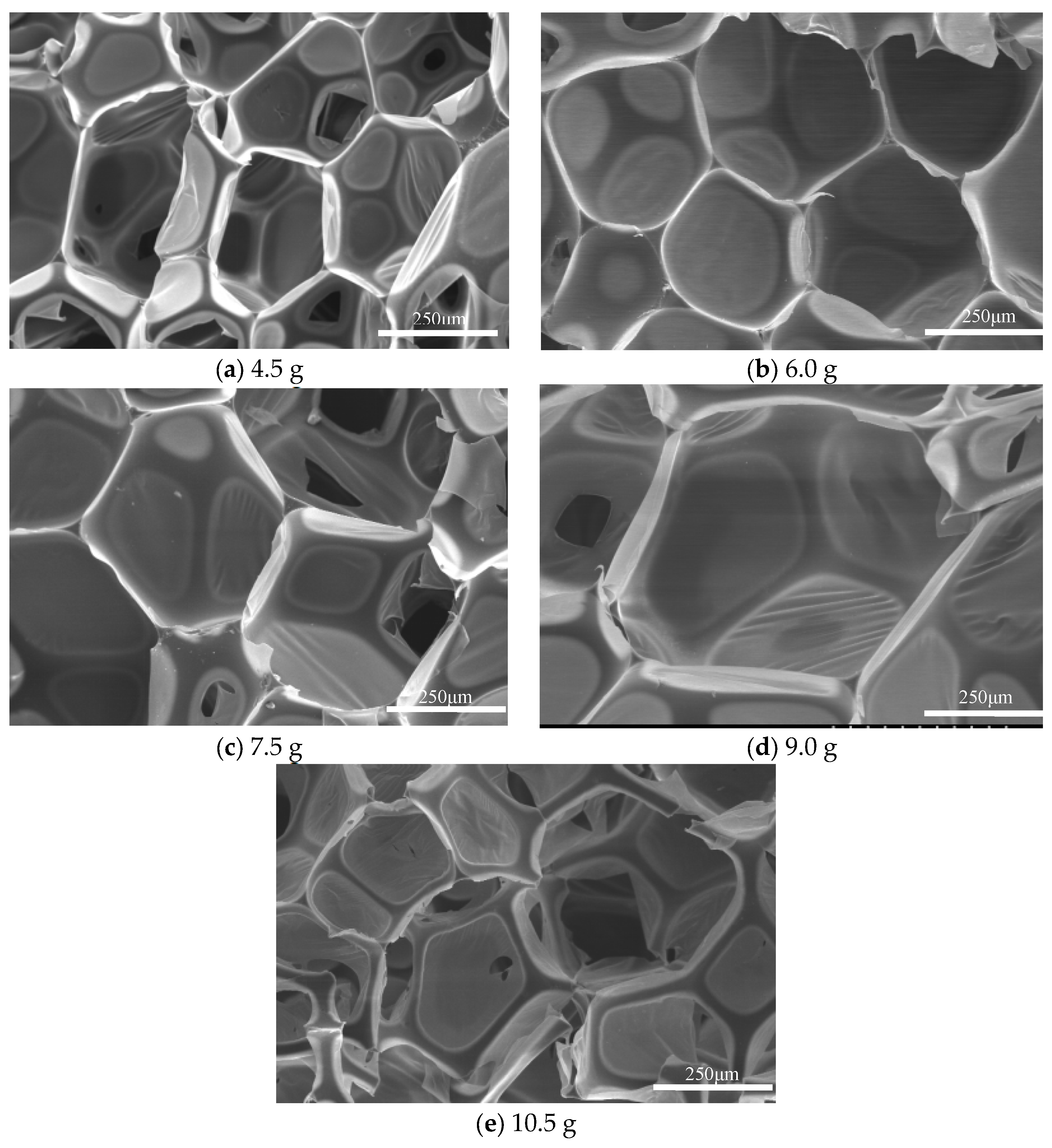 Polymers 15 02359 g007
