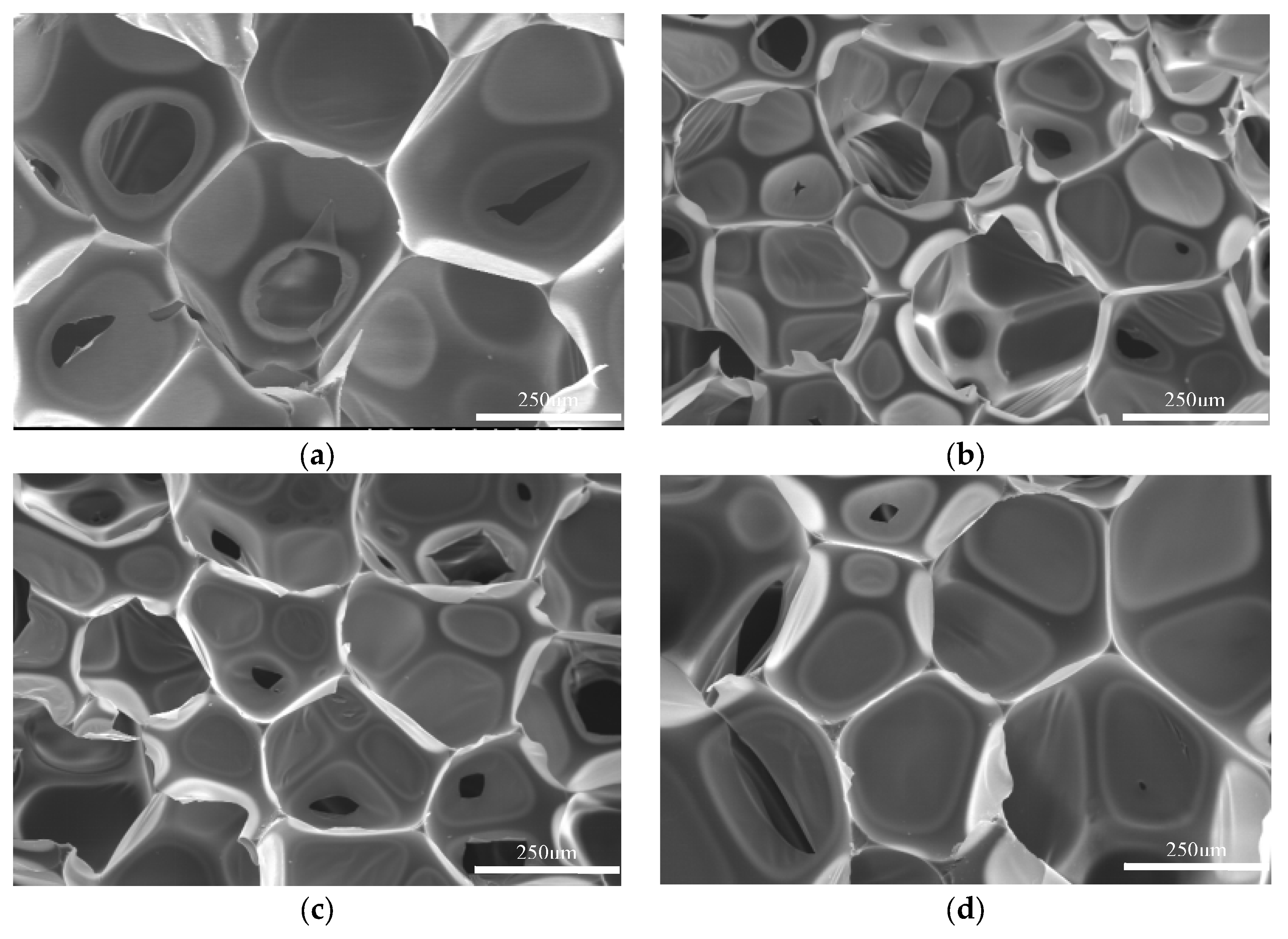Polymers 15 02359 g008a