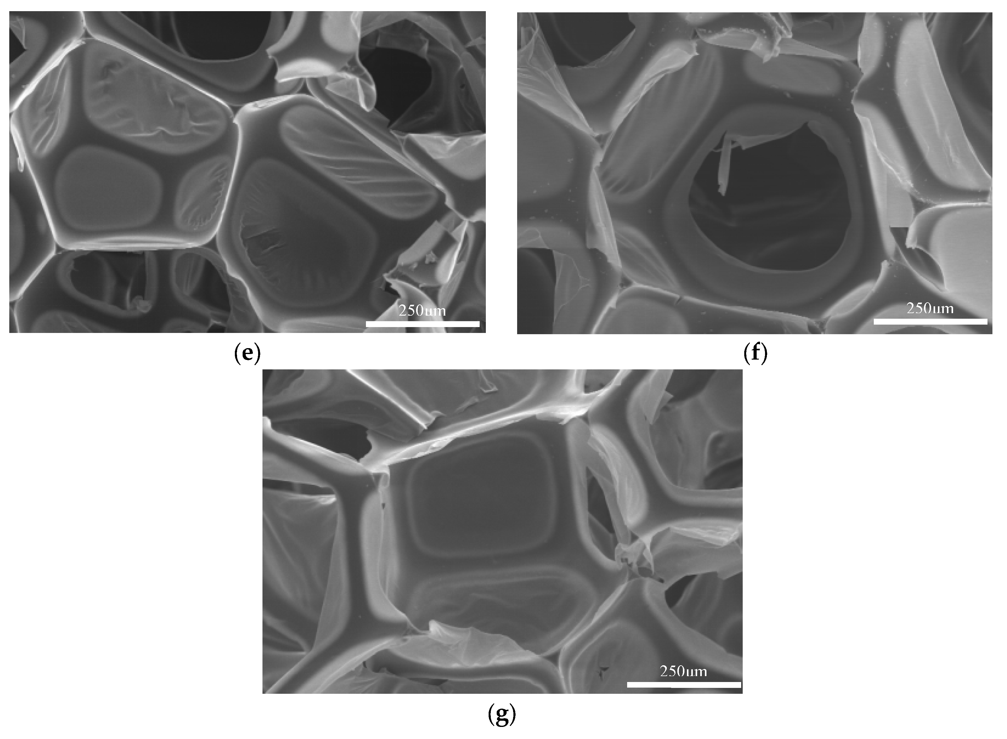 Polymers 15 02359 g008b