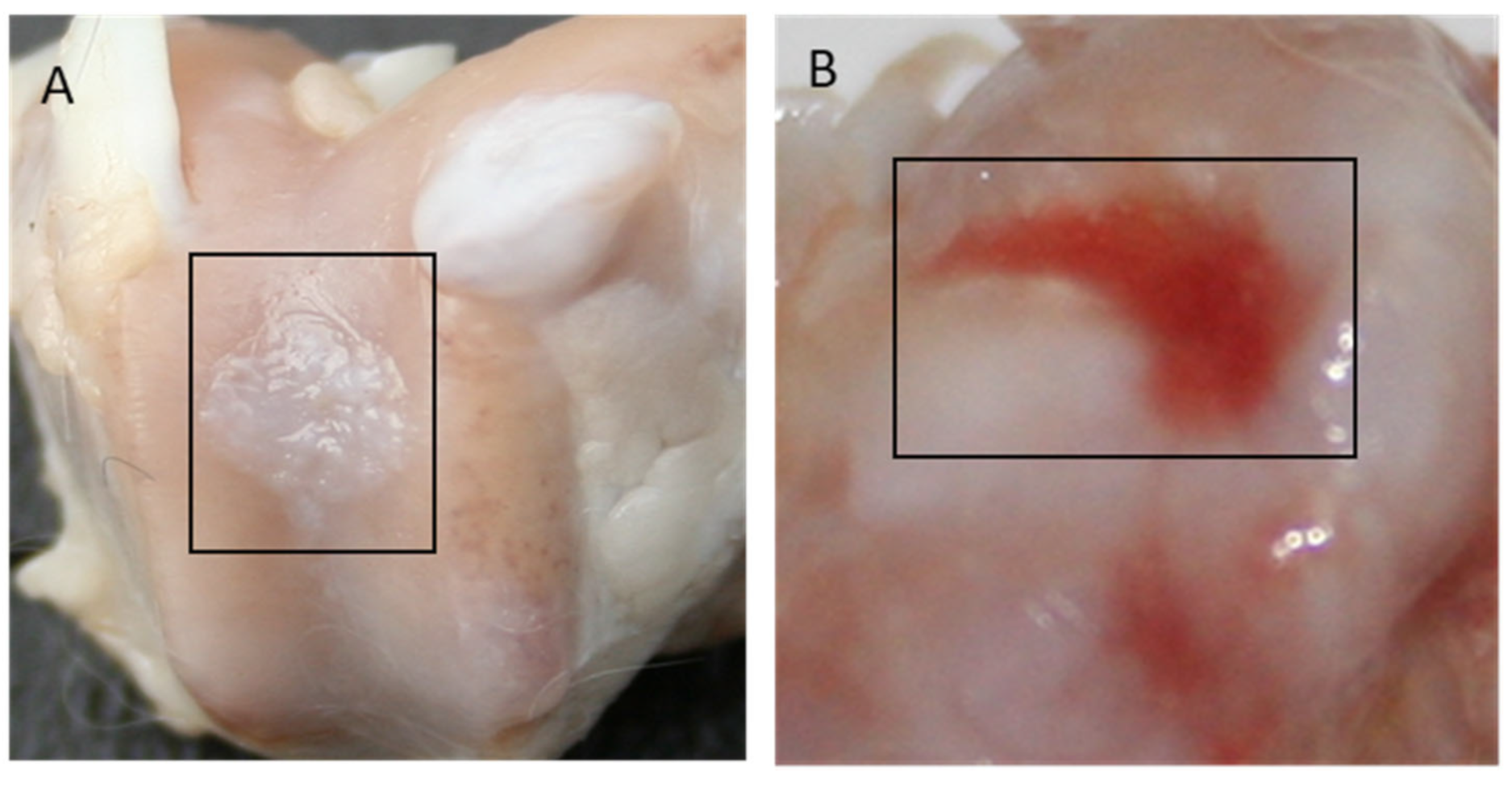 Polymers 15 02360 g009