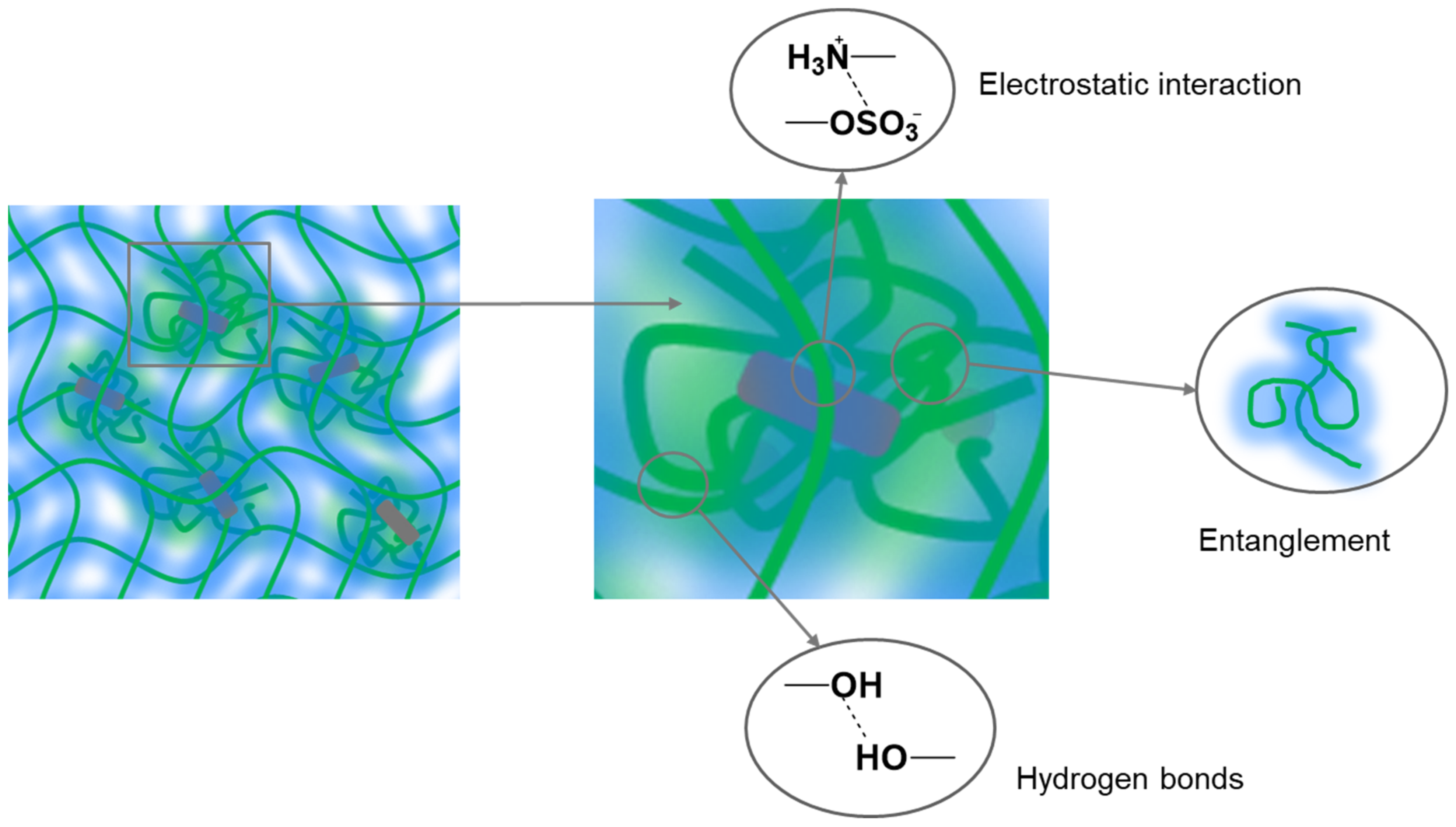Polymers 15 02362 g003