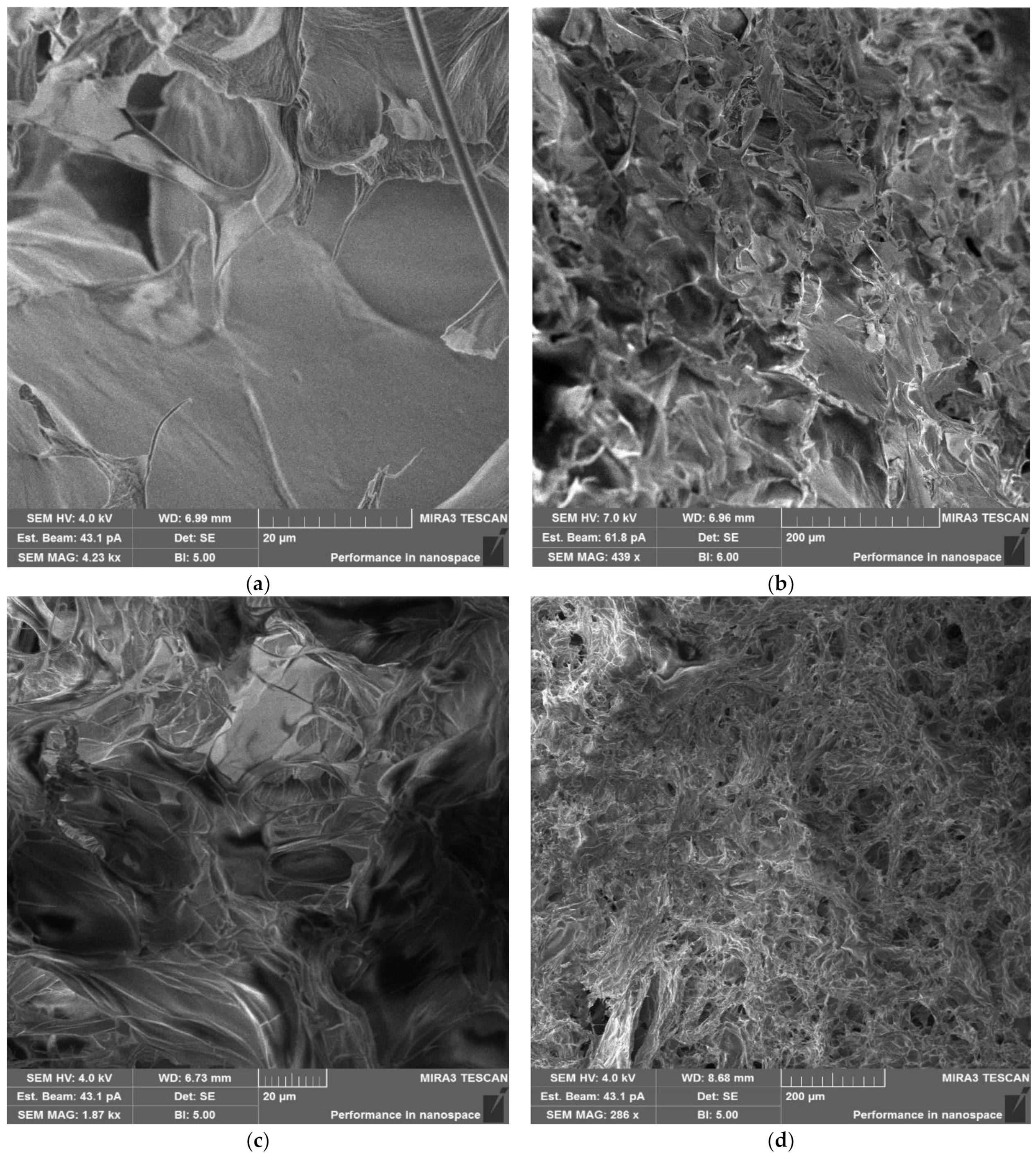 Polymers 15 02362 g006a