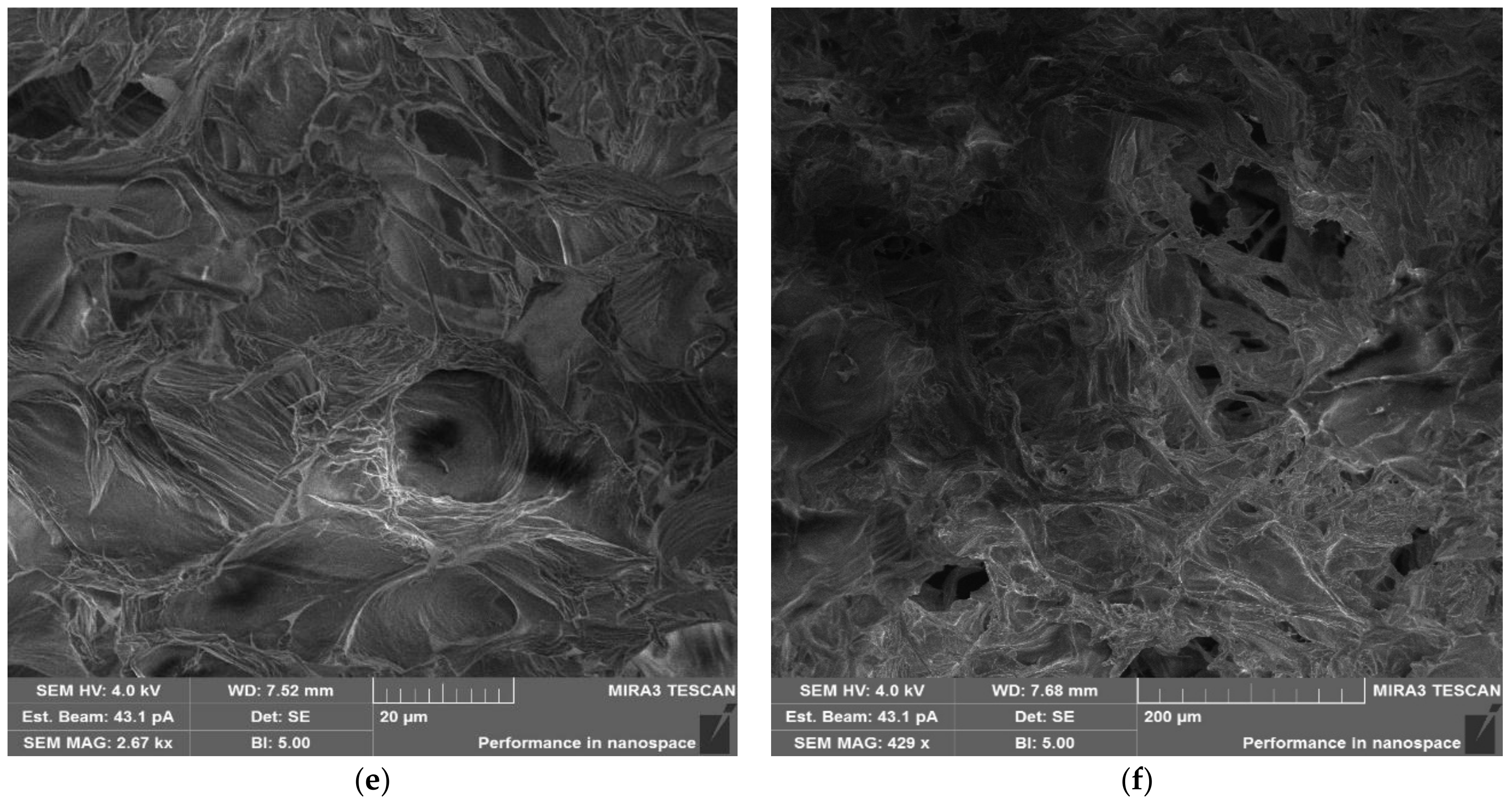 Polymers 15 02362 g006b