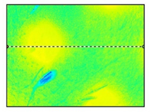 Polymers 15 02367 i005