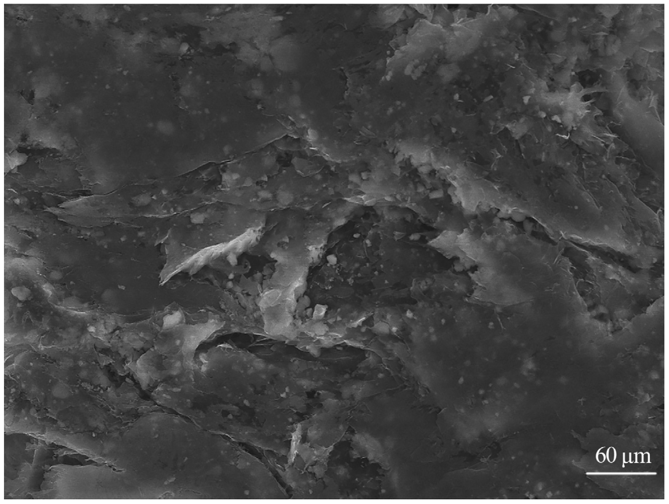 Polymers 15 02369 g001