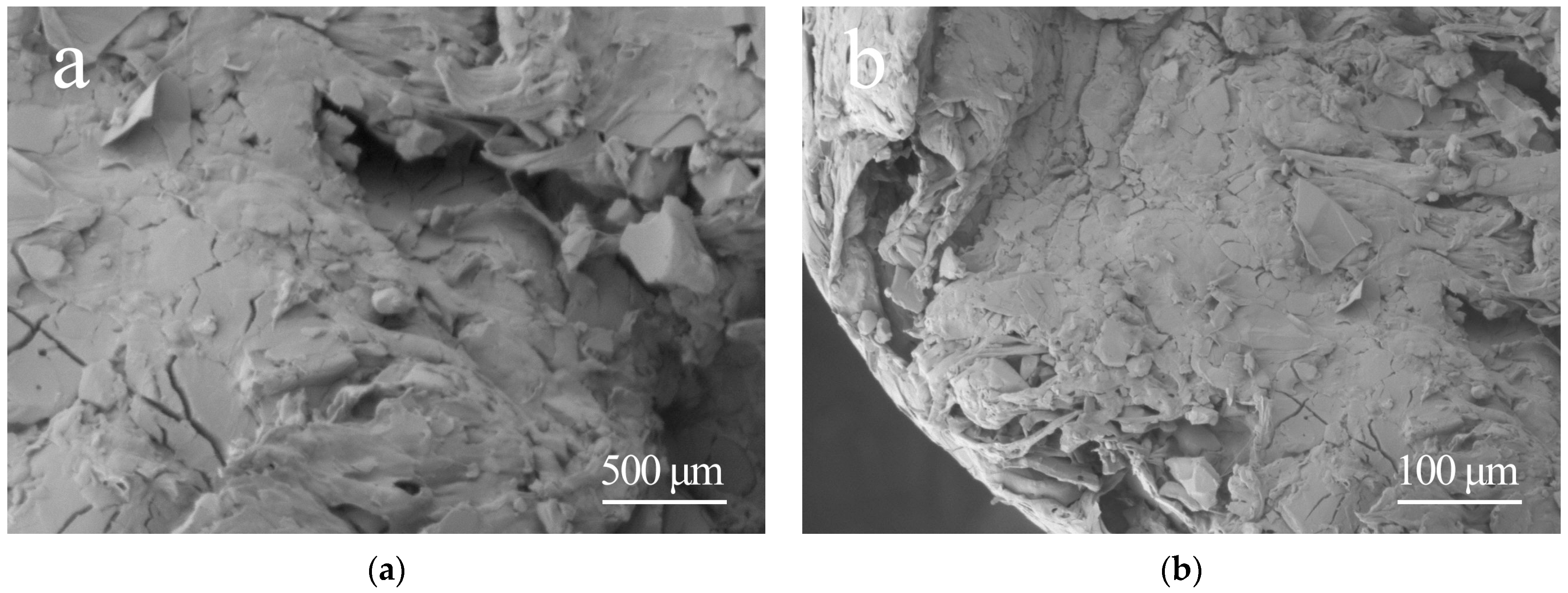 Polymers 15 02369 g003