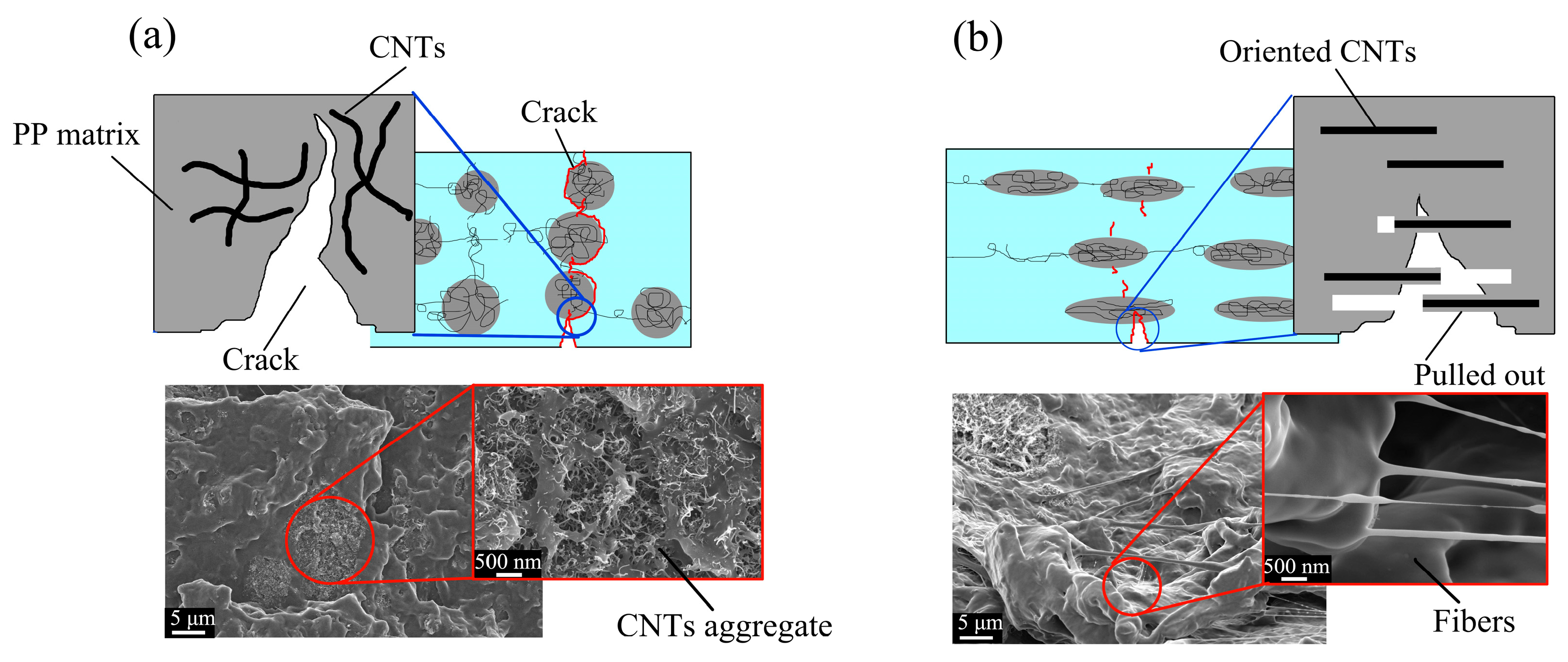 Polymers 15 02370 g009