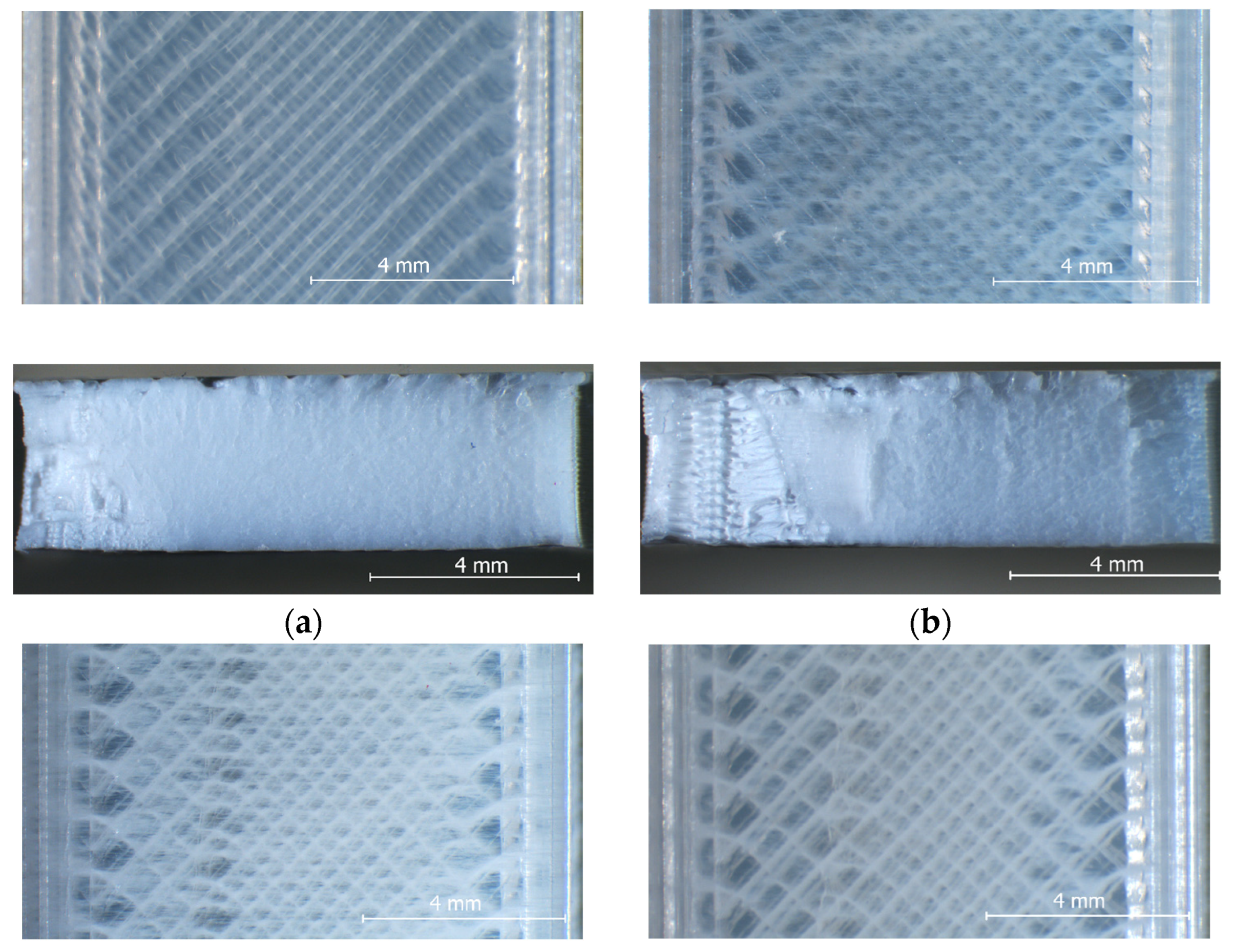 Polymers 15 02377 g006a