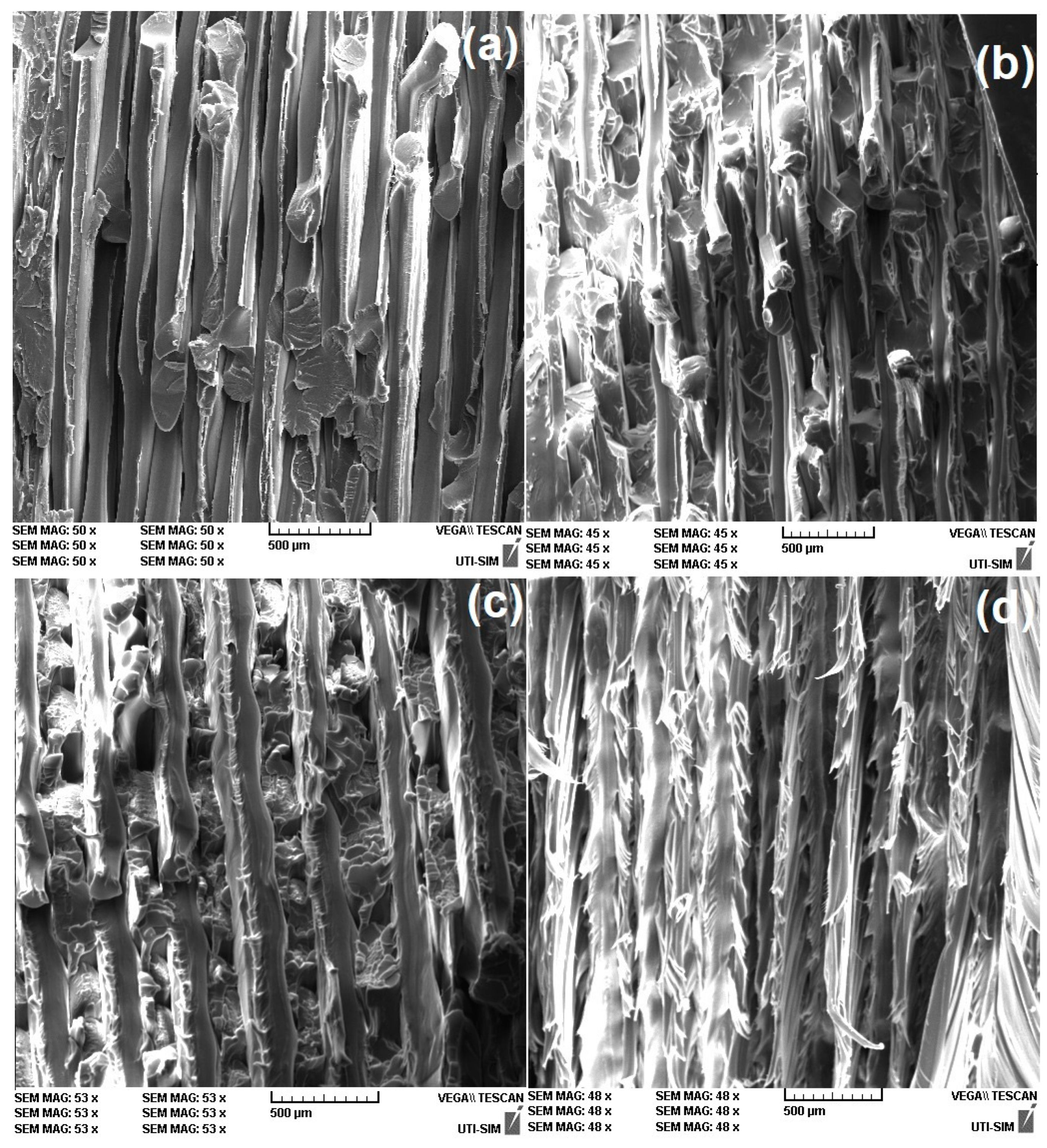 Polymers 15 02378 g012